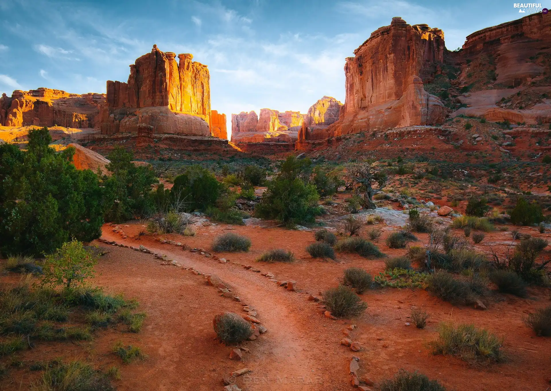 canyon, Plants, Path, rocks