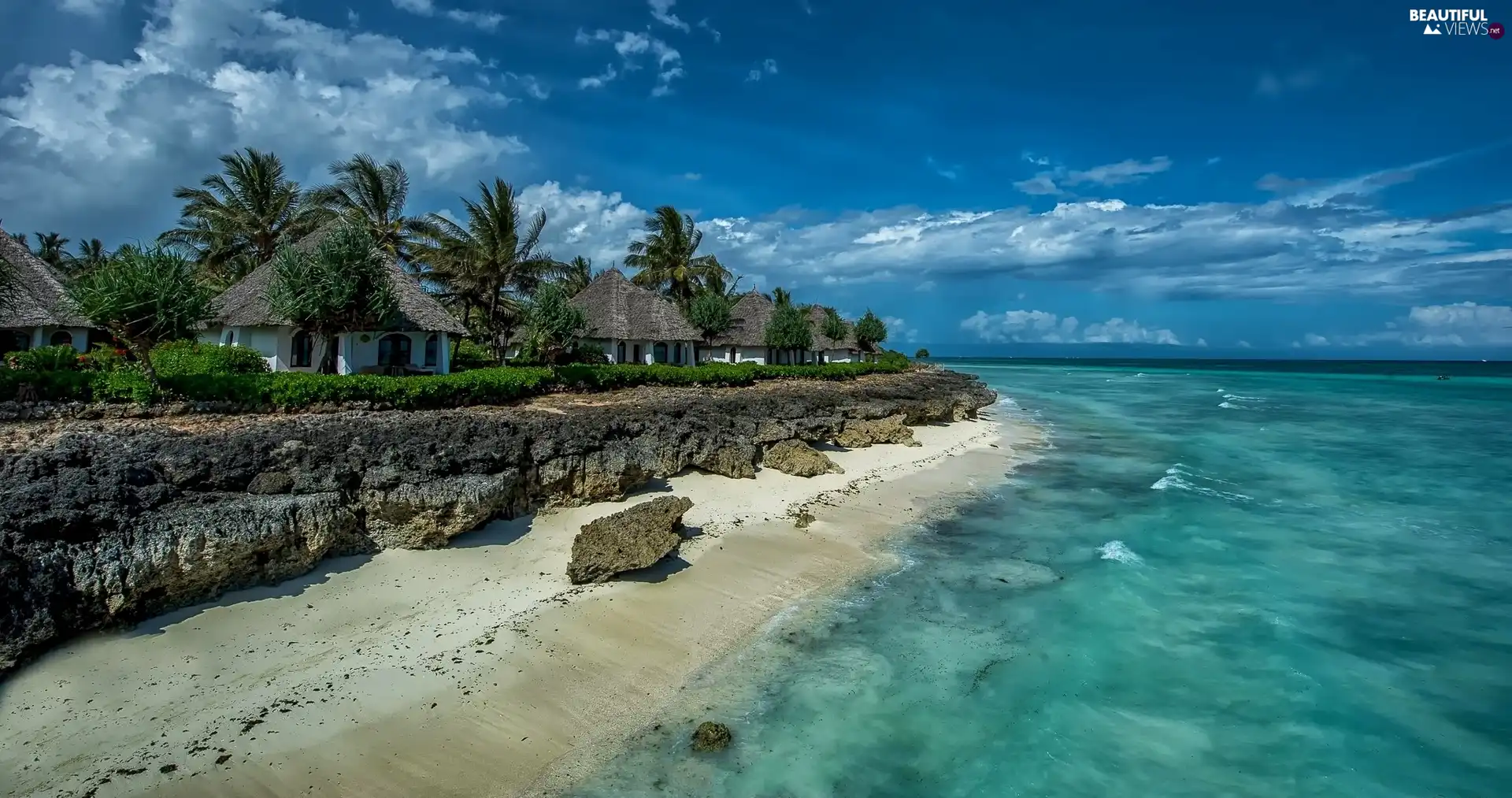 Palms, rocks, coast, Houses, sea