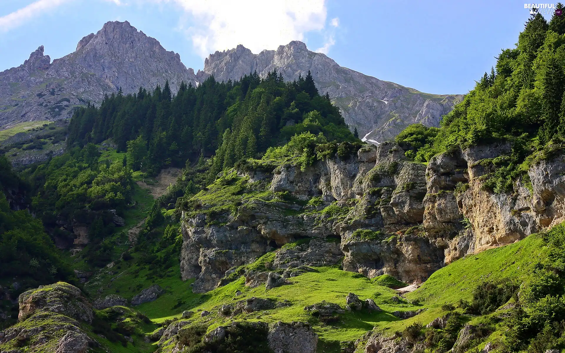 rocks, Mountains, forest