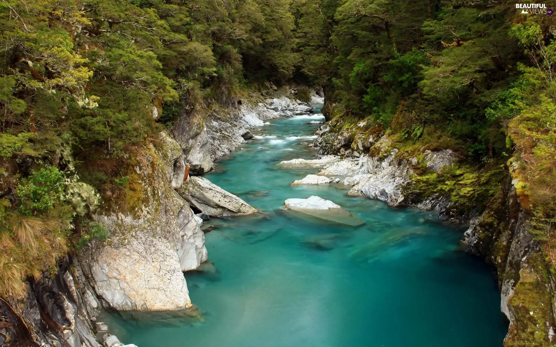 rocks, River, forest