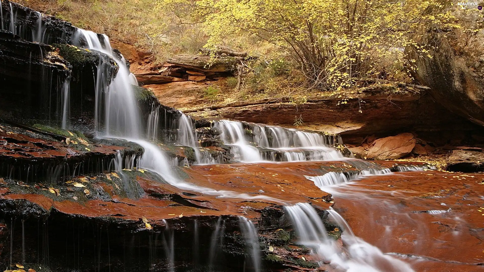 rocks, River, forest