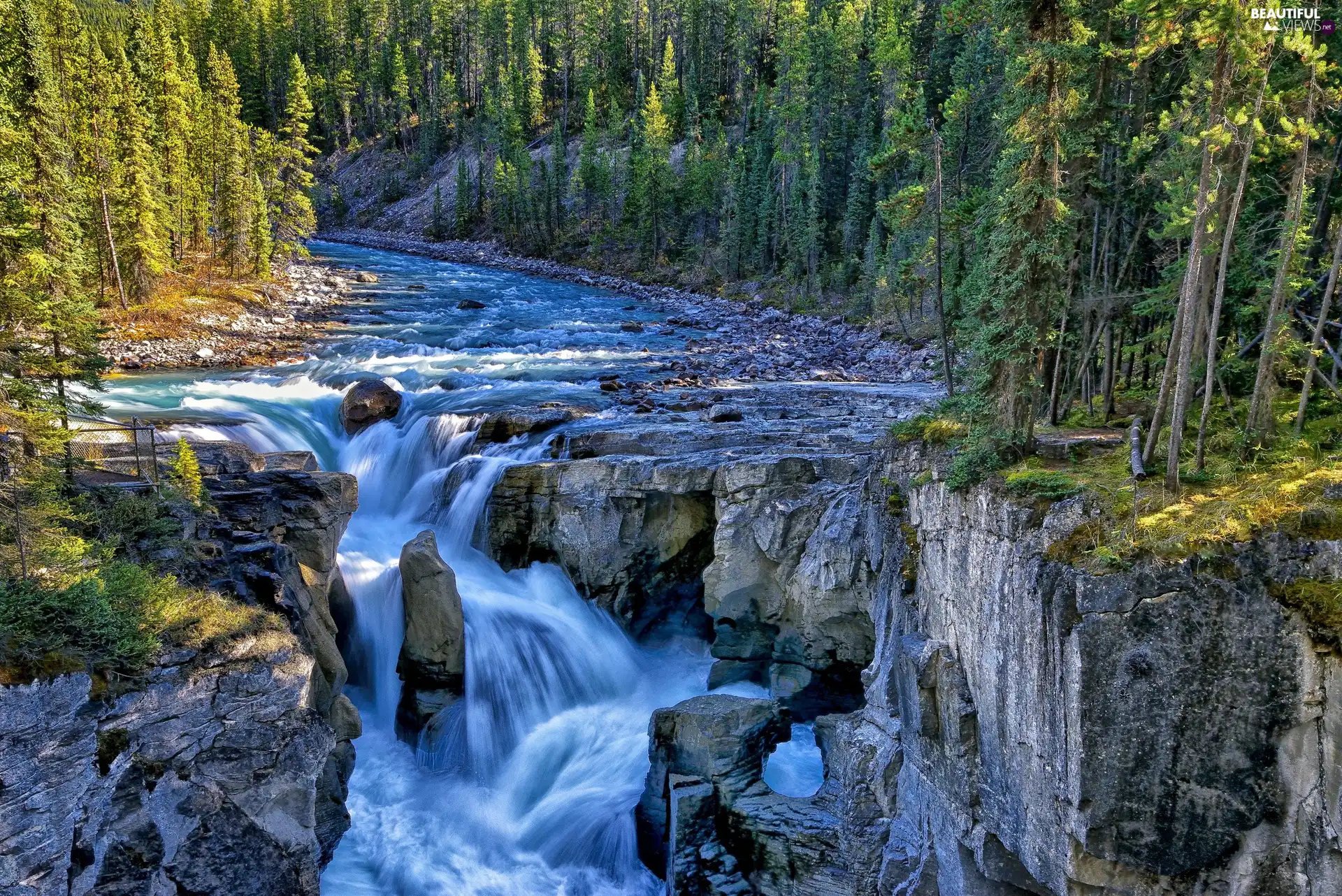 rocks, waterfall, forest