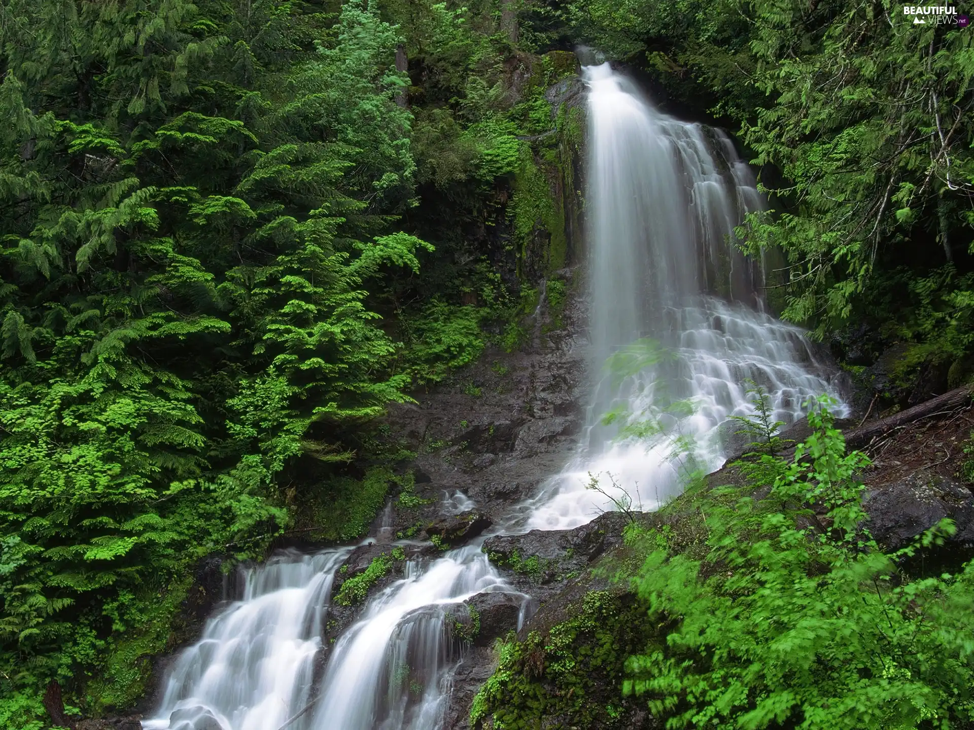 rocks, waterfall, forest