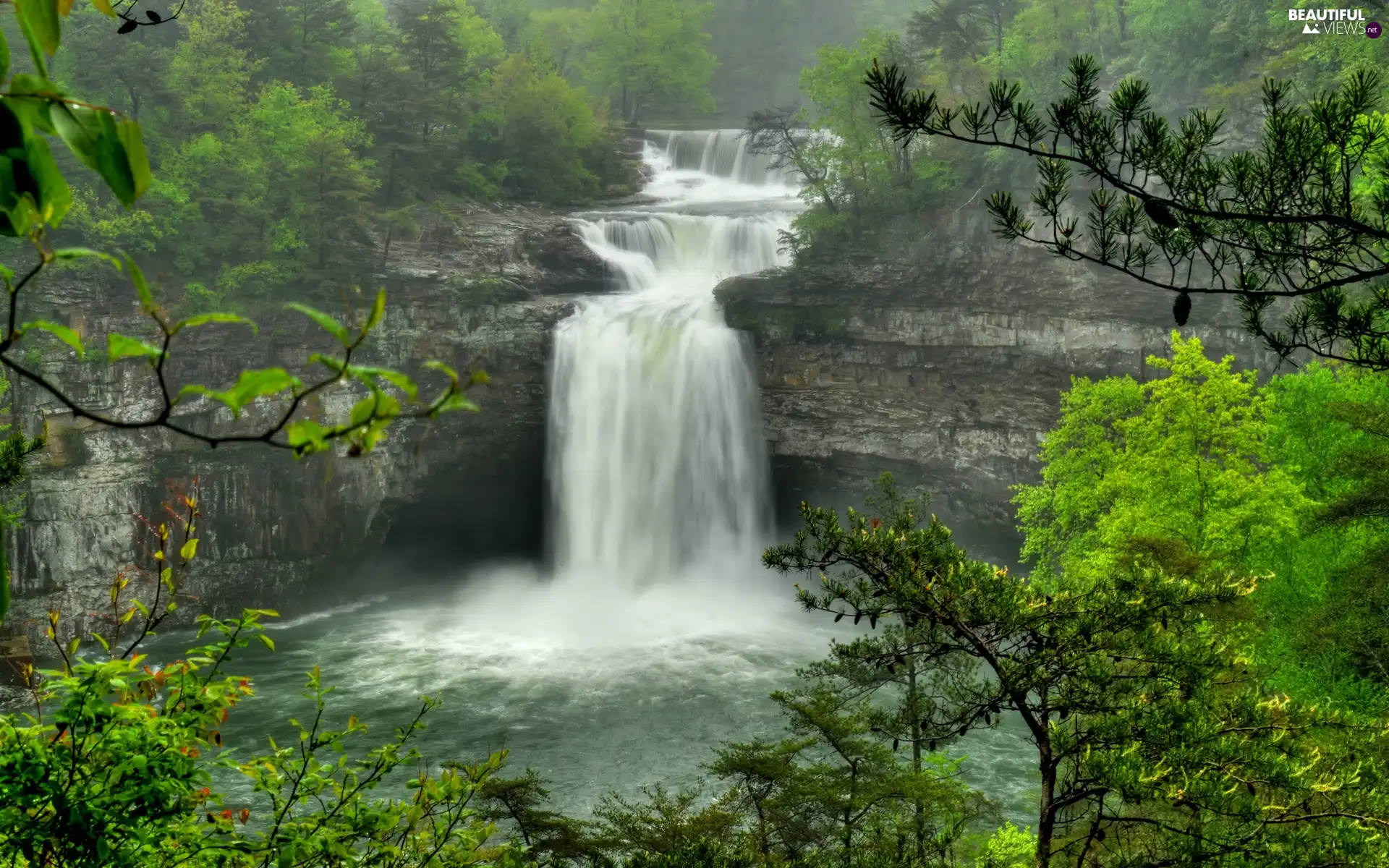 rocks, waterfall, forest