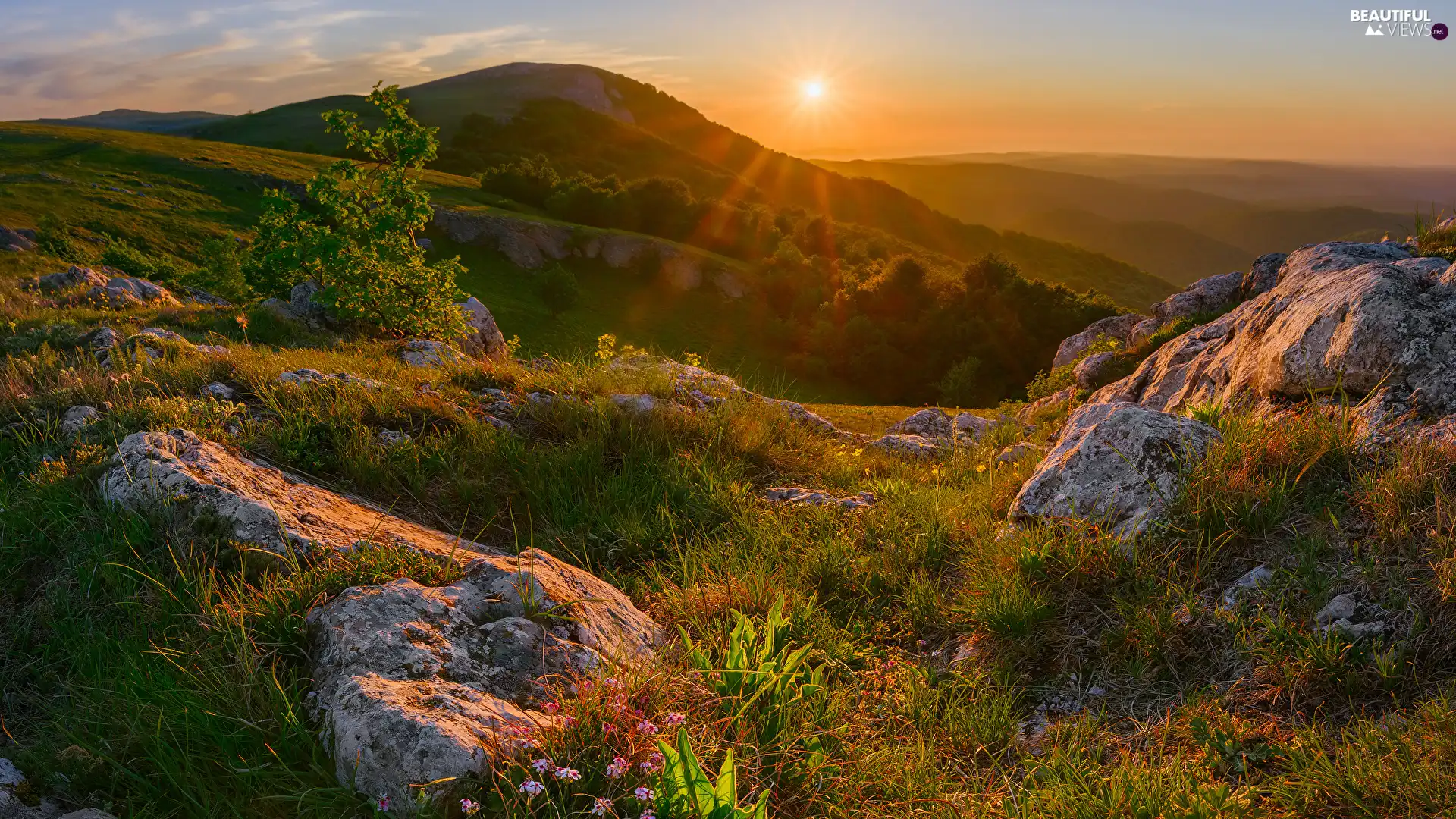 rocks, The Hills, Plants, rays of the Sun, grass, Mountains