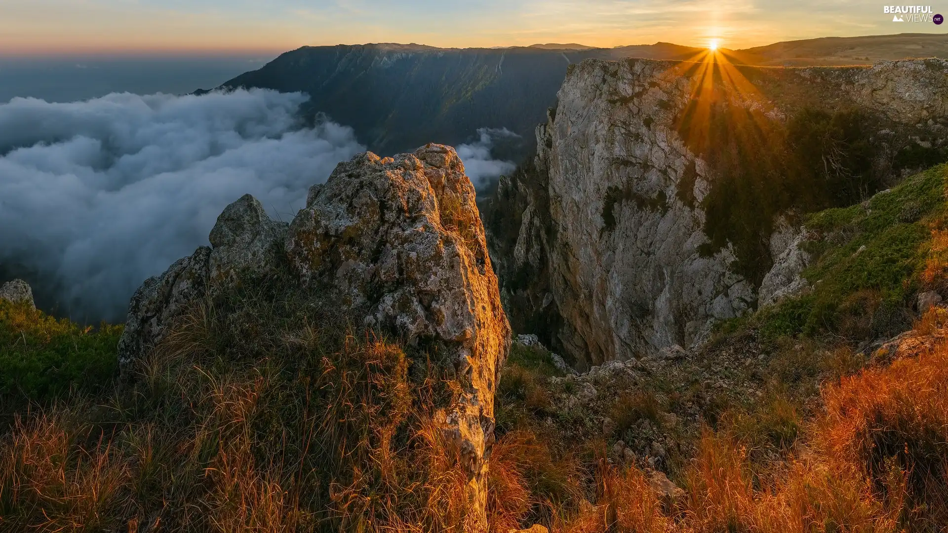 Fog, Mountains, grass, rocks, Sunrise, Yellowed, VEGETATION