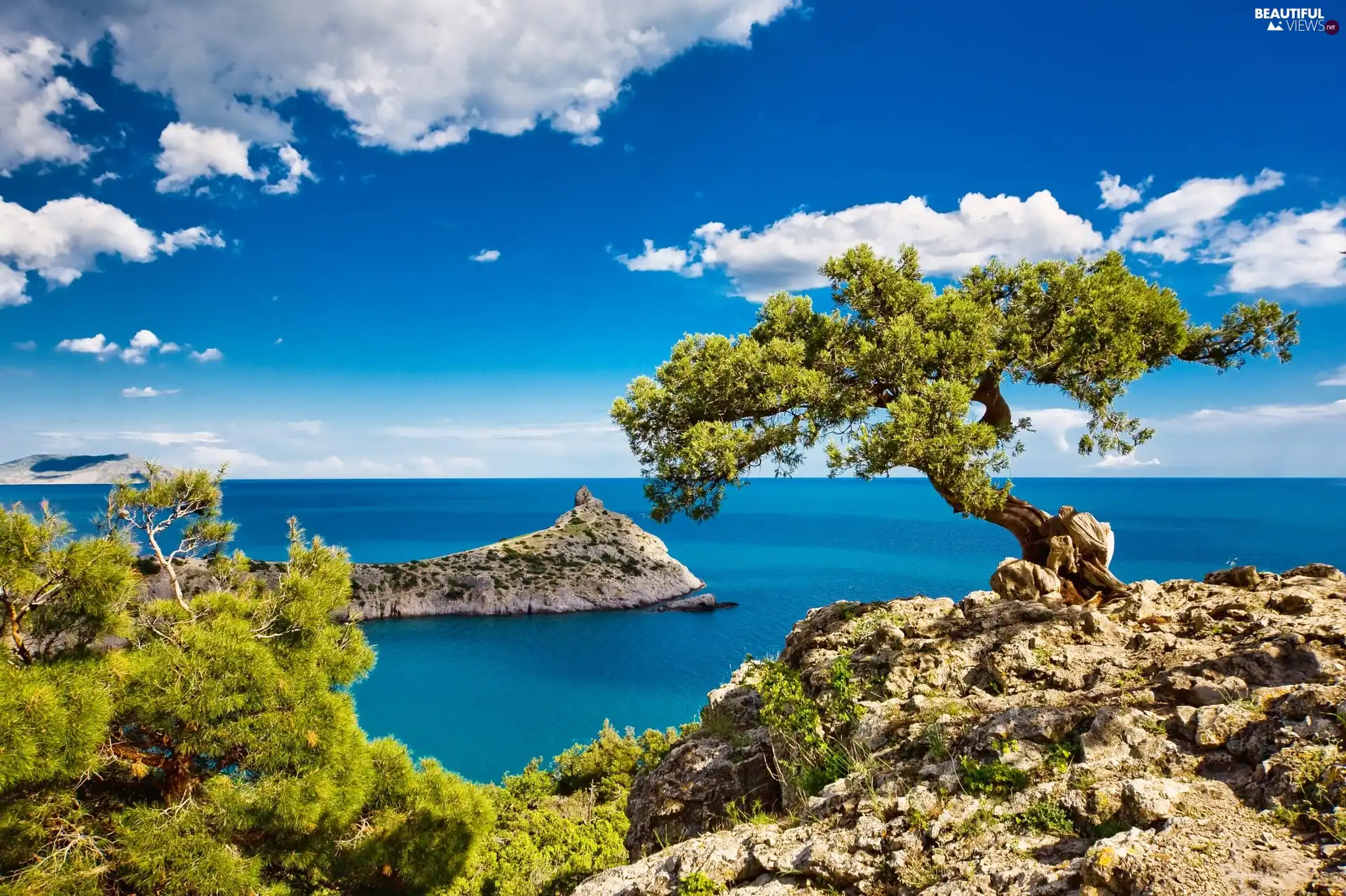 rocks, trees, Gulf