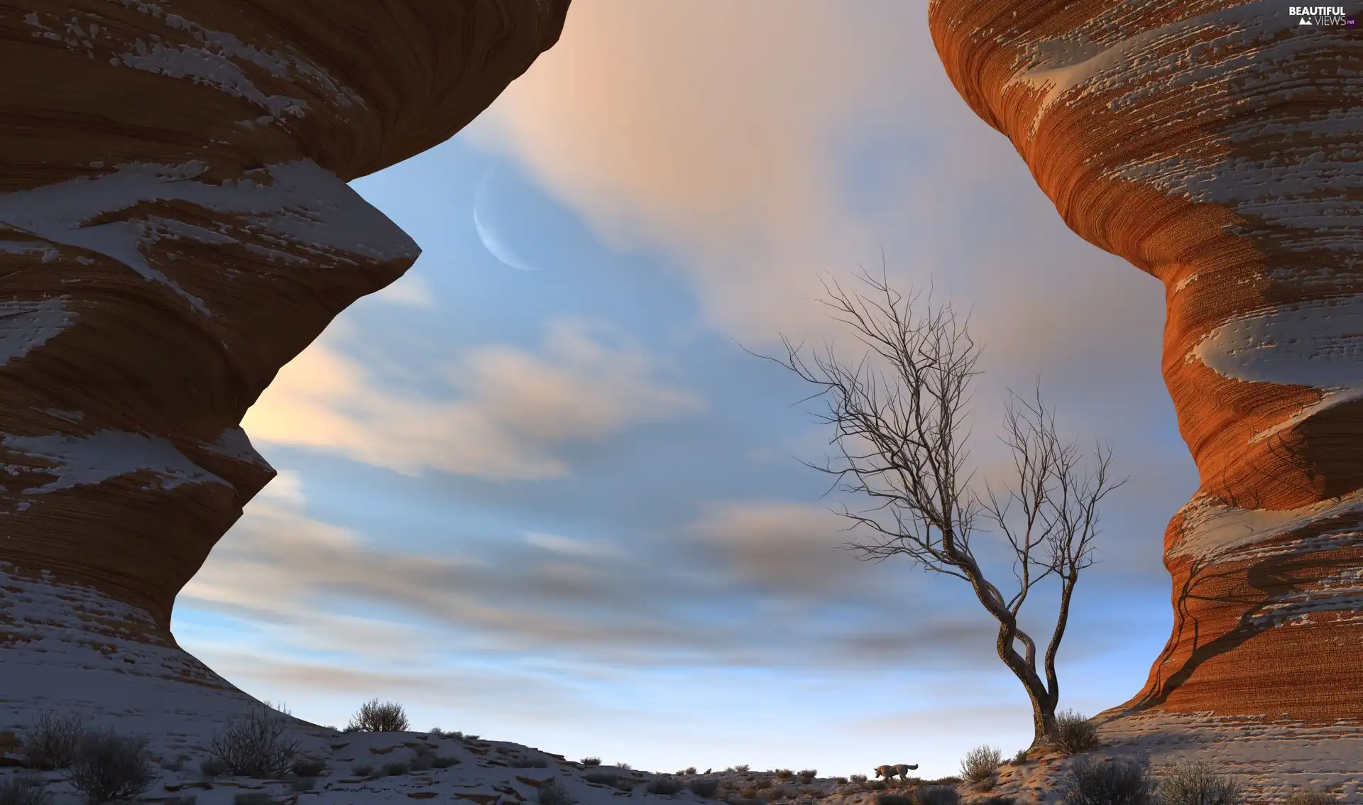 high, rocks