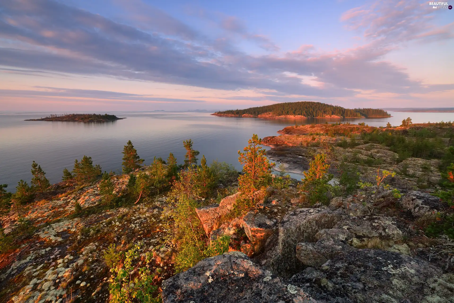 rocks, Plants, Russia, trees, Karelia, Lake Ladoga, autumn, viewes