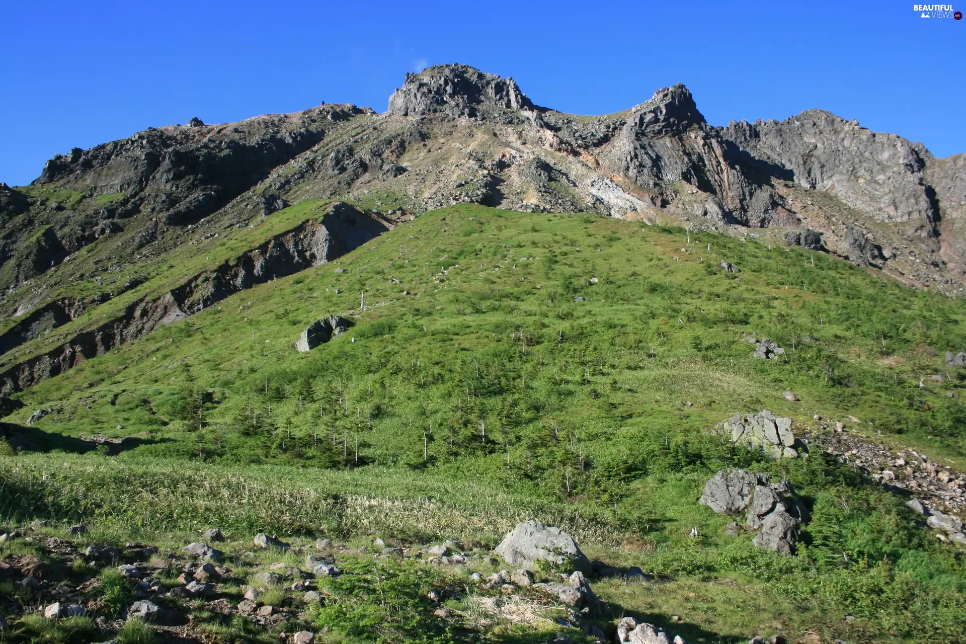 mountains, viewes, rocks, trees