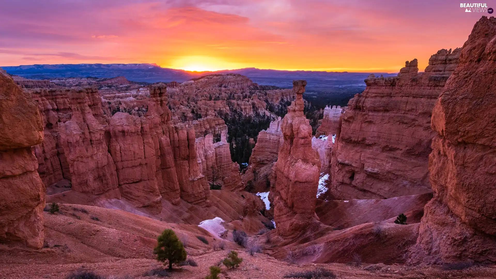 Bryce Canyon National Park, The United States, VEGETATION, Sunrise, rocks, Utah State