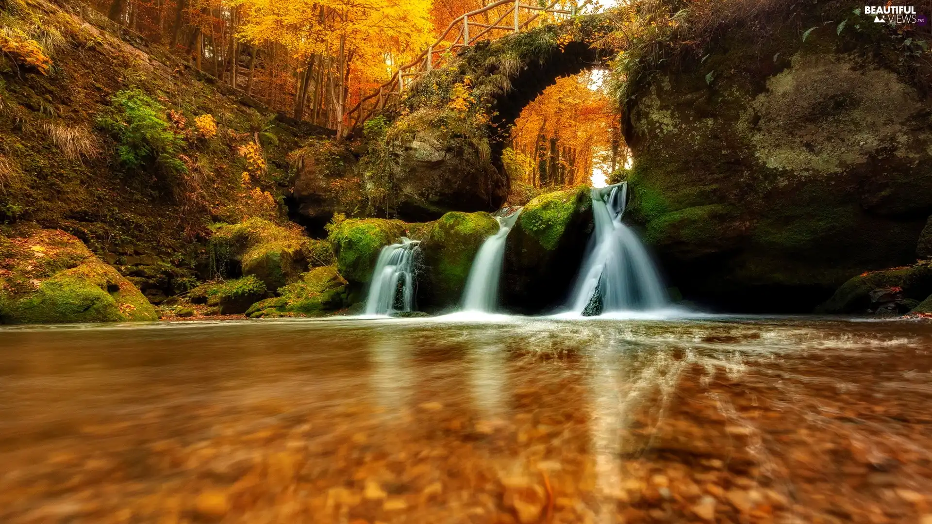 Rocks Forest River Beautiful Views Wallpapers 1920x1080