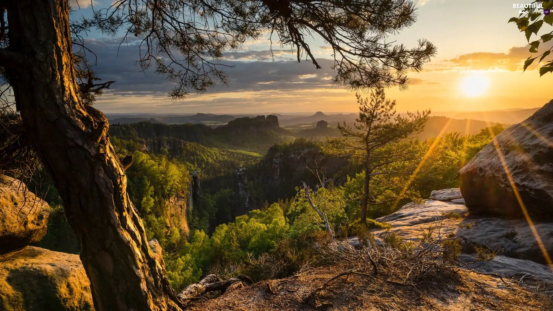 forest, trees, Germany, viewes, Saxon Switzerland National Park, rocks, Mountains, rays of the Sun