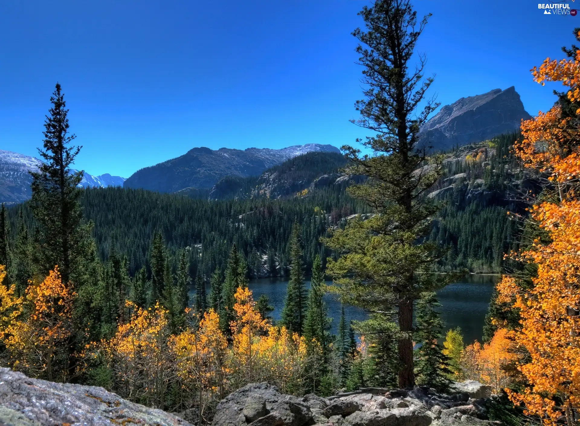 rocks, lake, Spruces