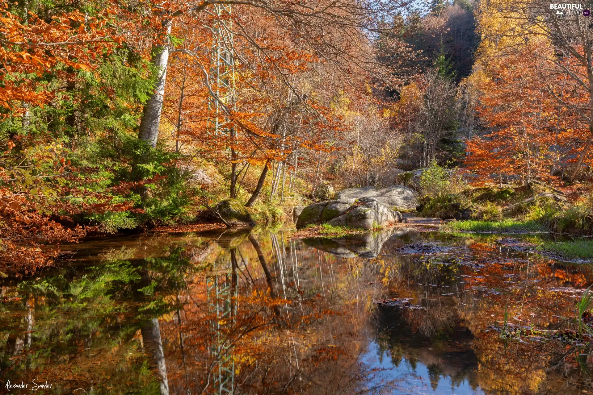 viewes, autumn, Stones, trees, forest, Pond - car, rocks