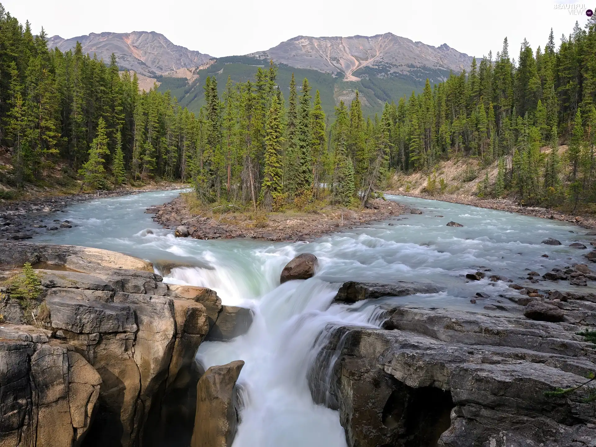 rocks, Stones, current, forest, River