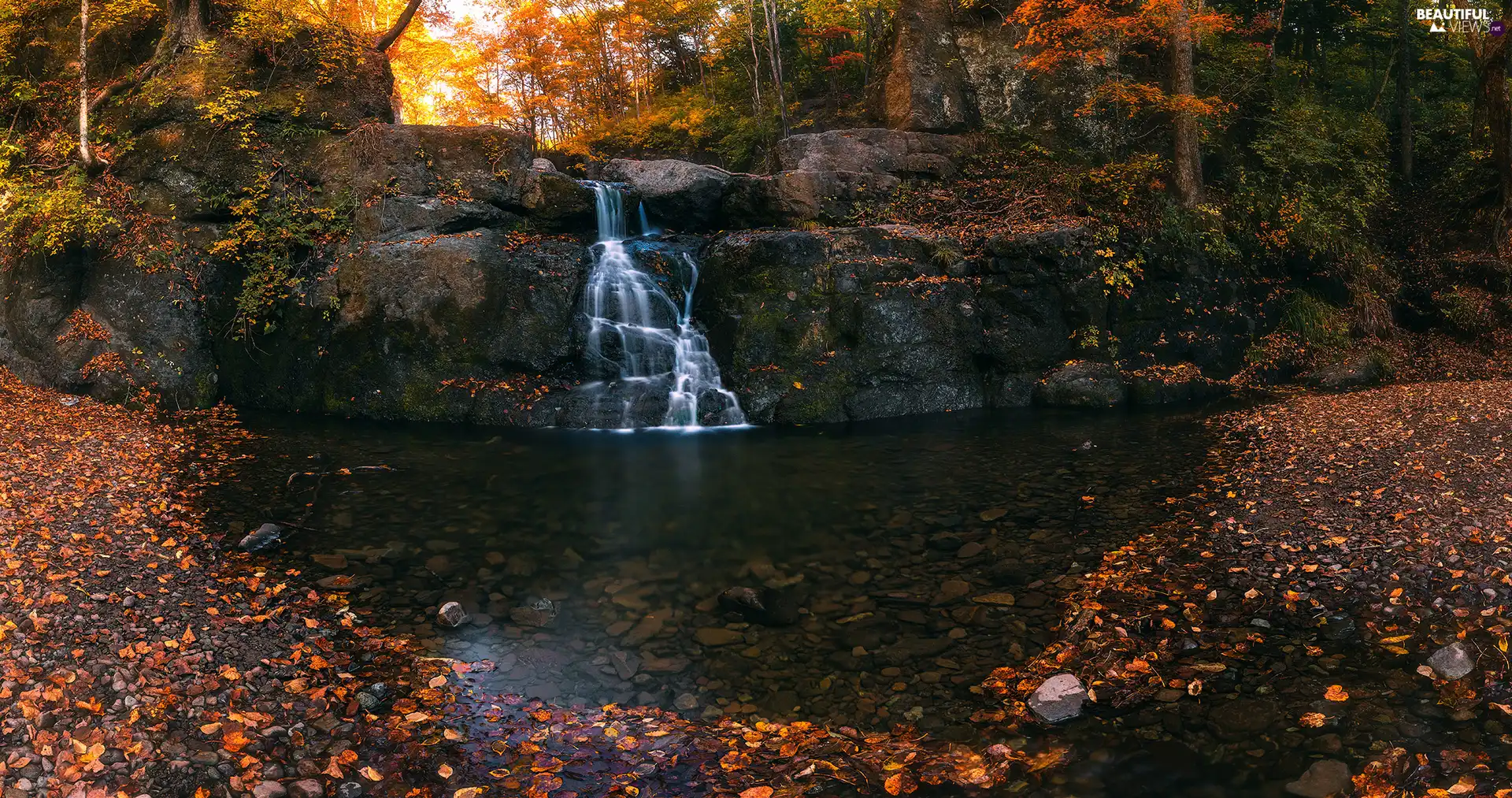 trees, waterfall, Stones, rocks, autumn, viewes, River