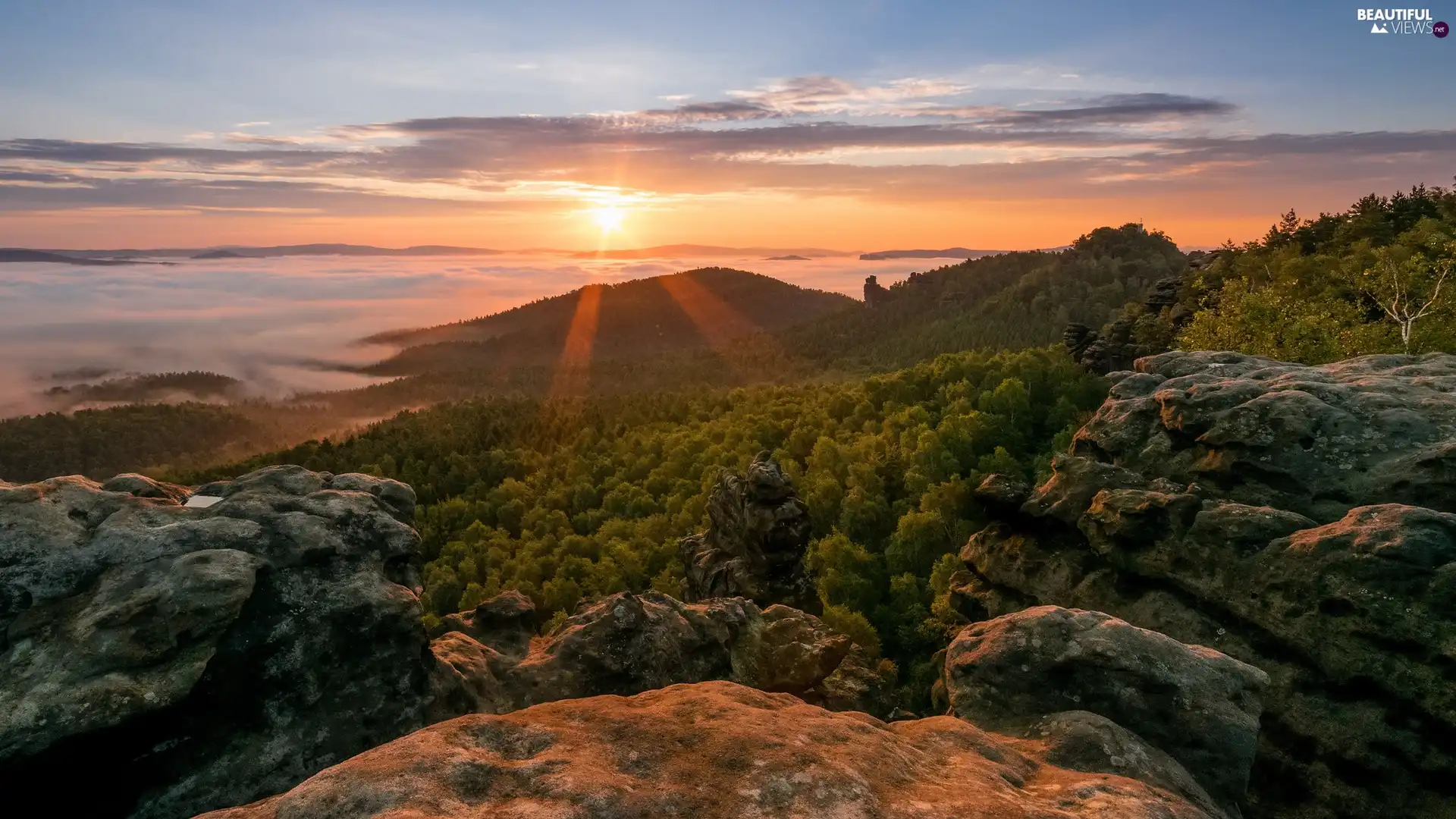 Sunrise, trees, viewes, rocks