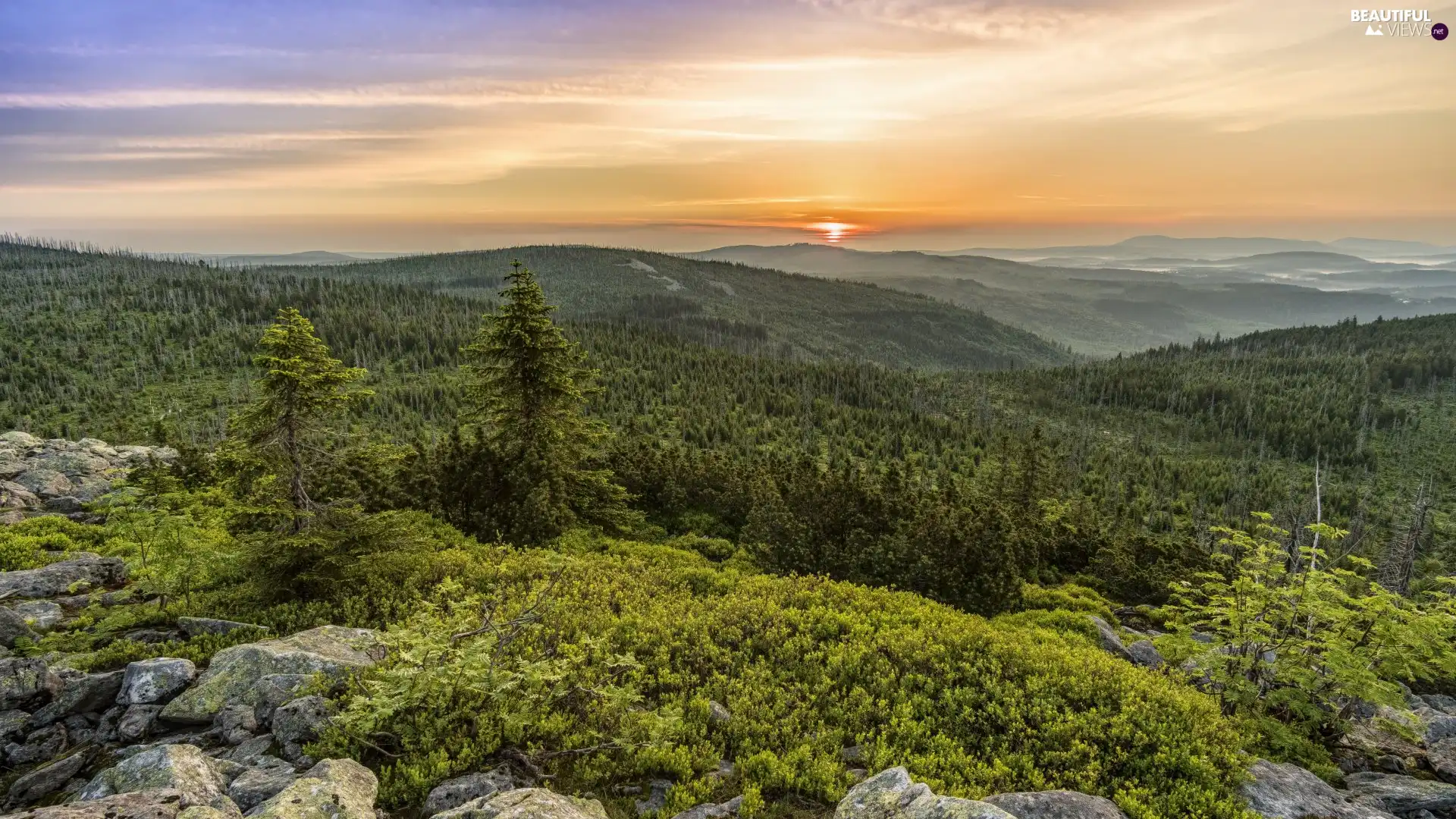 trees, Great Sunsets, Mountains, The Hills, viewes, rocks