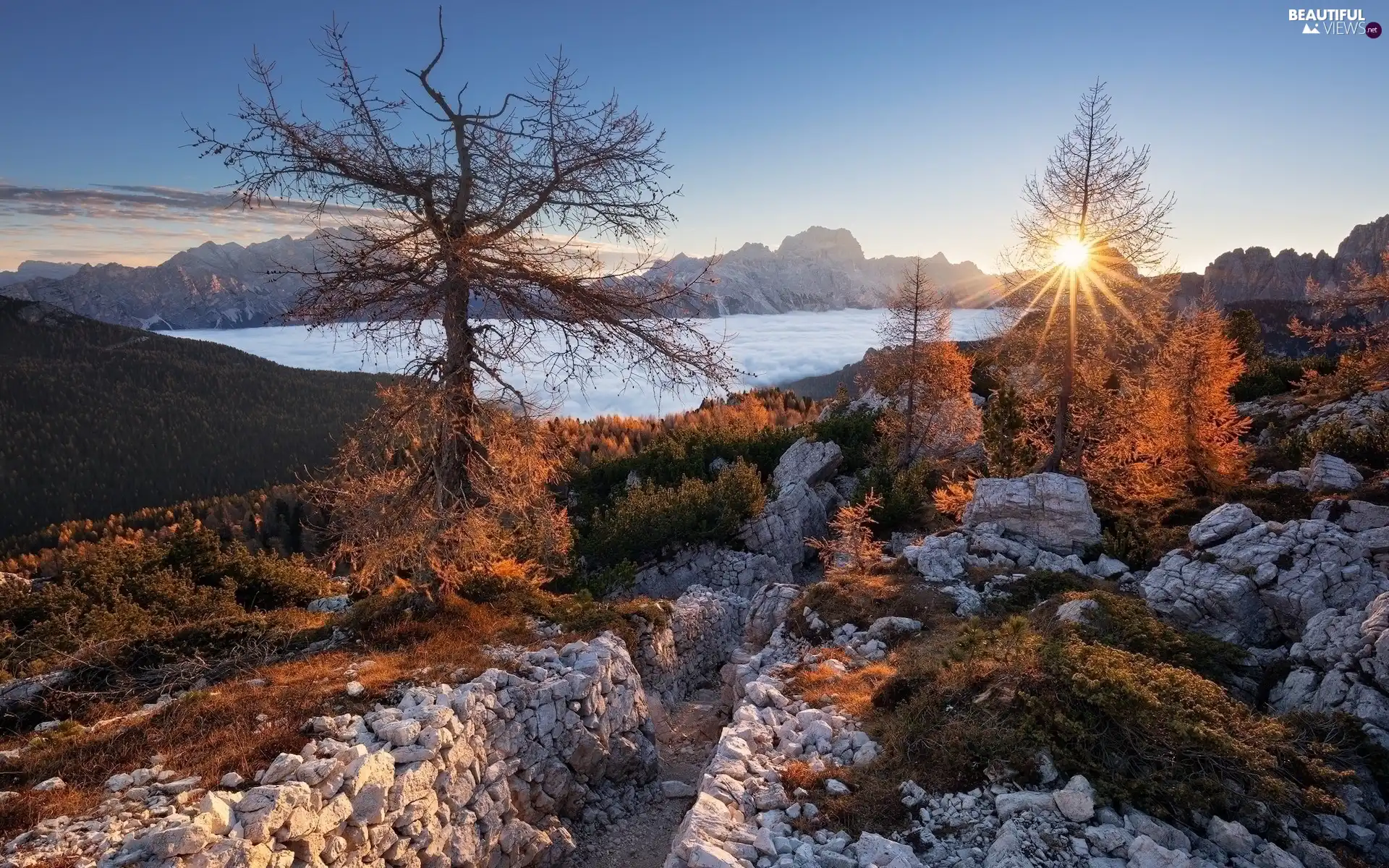 rocks, Fog, viewes, Mountains, rays of the Sun, trees, autumn