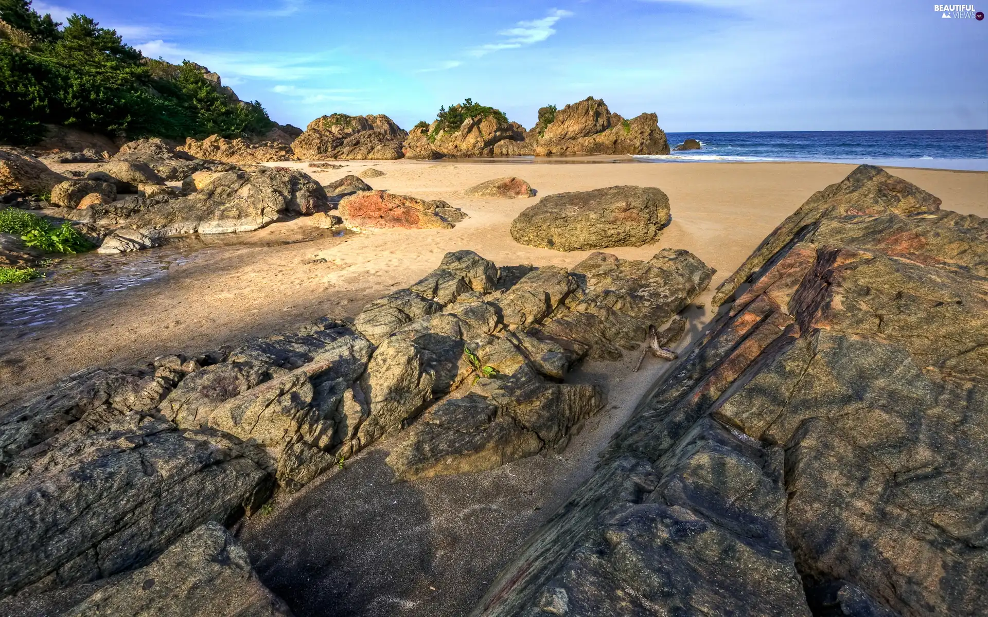 Sand, water, trees, Beaches, sea, rocks, viewes