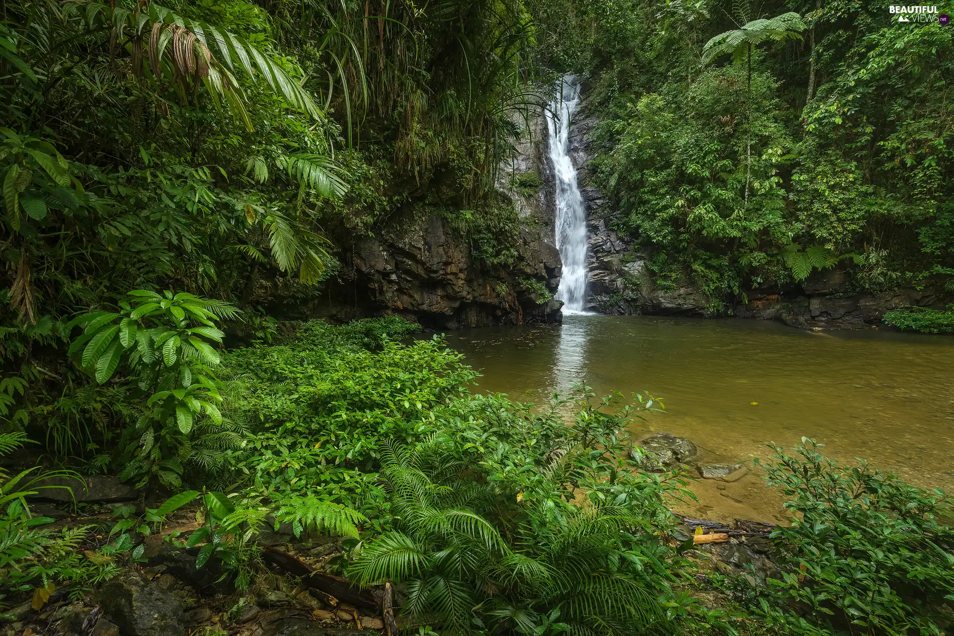 forest, River, viewes, Rocks, waterfall, trees, VEGETATION