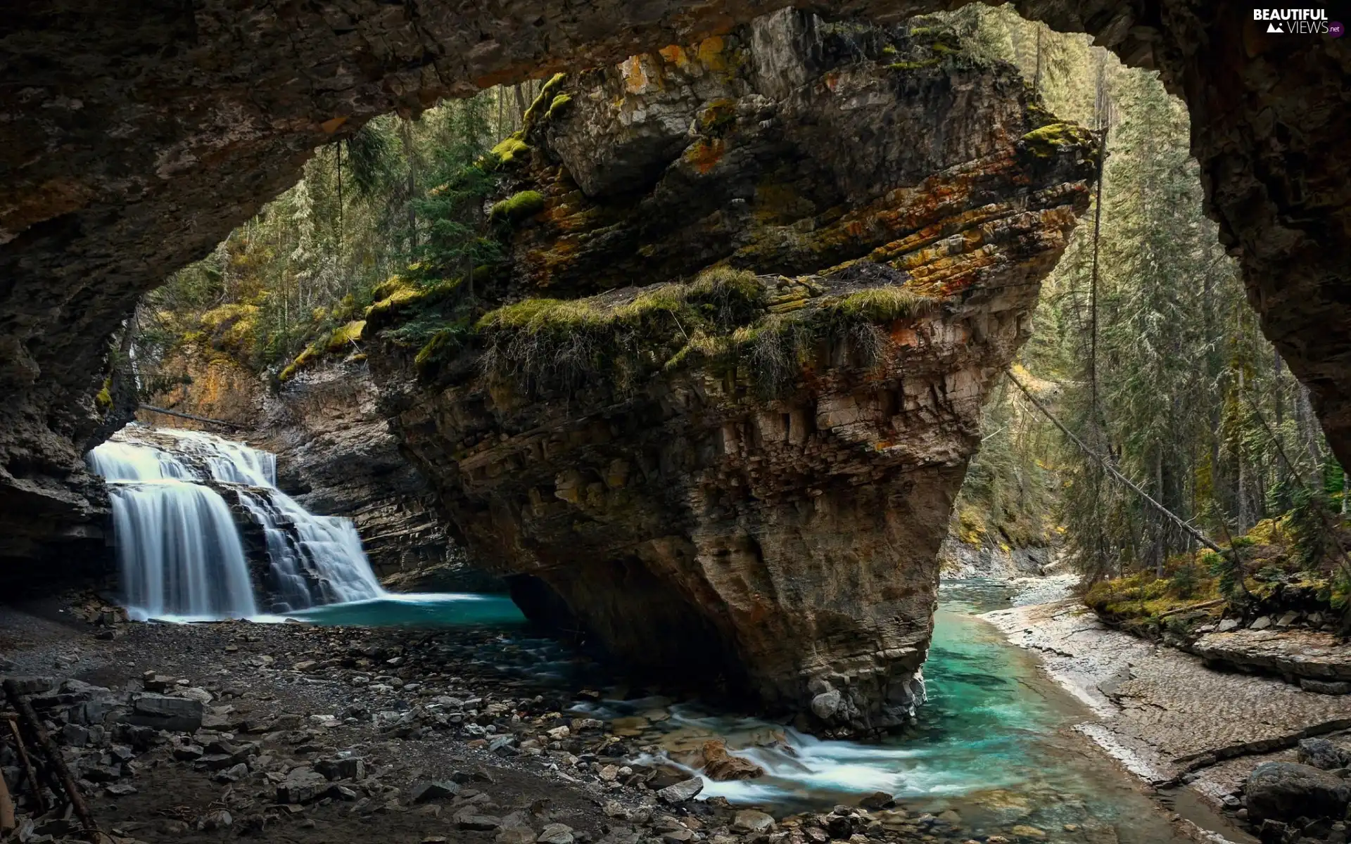 waterfall, forest, rocks, River