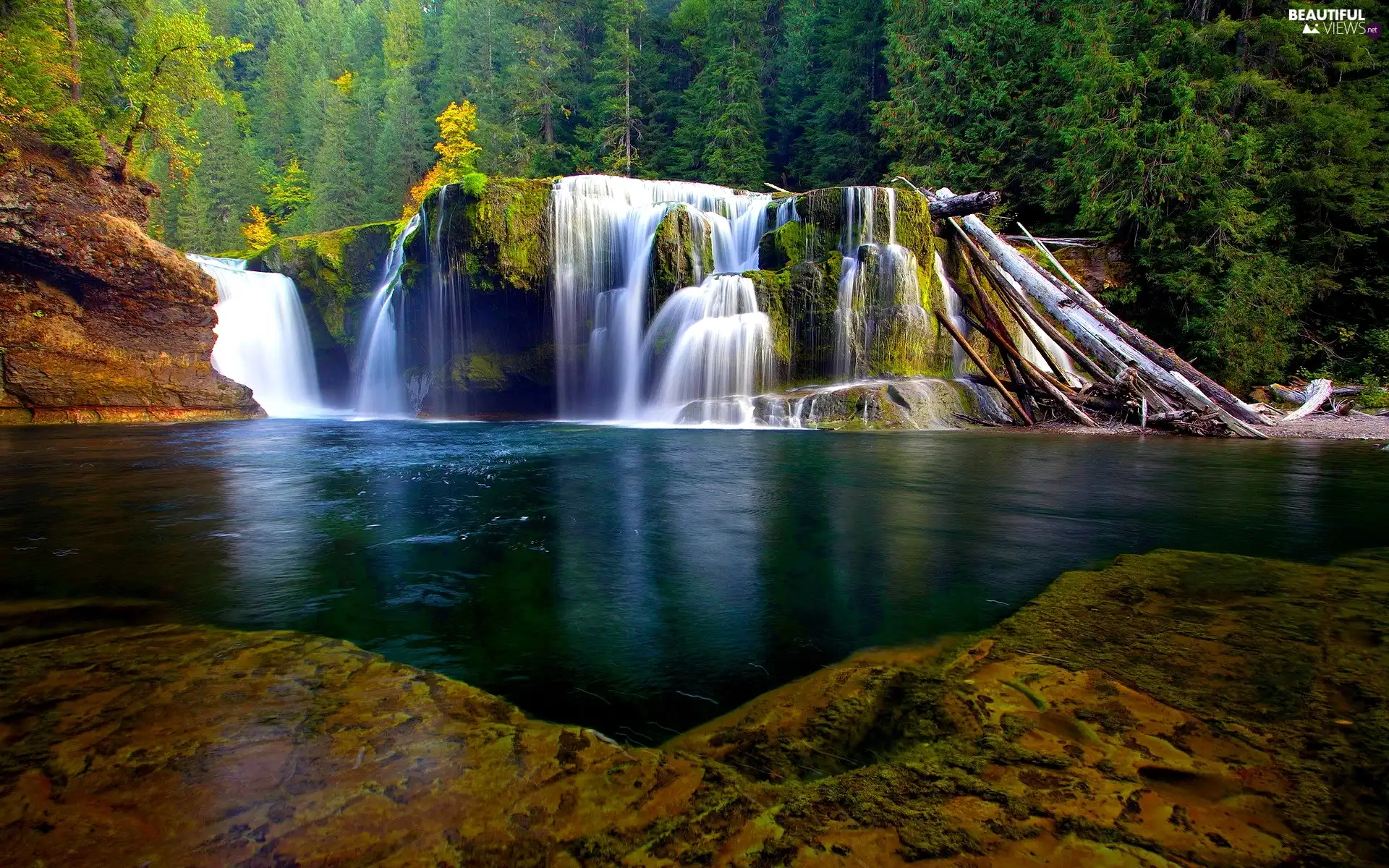 rocks, forest, waterfall