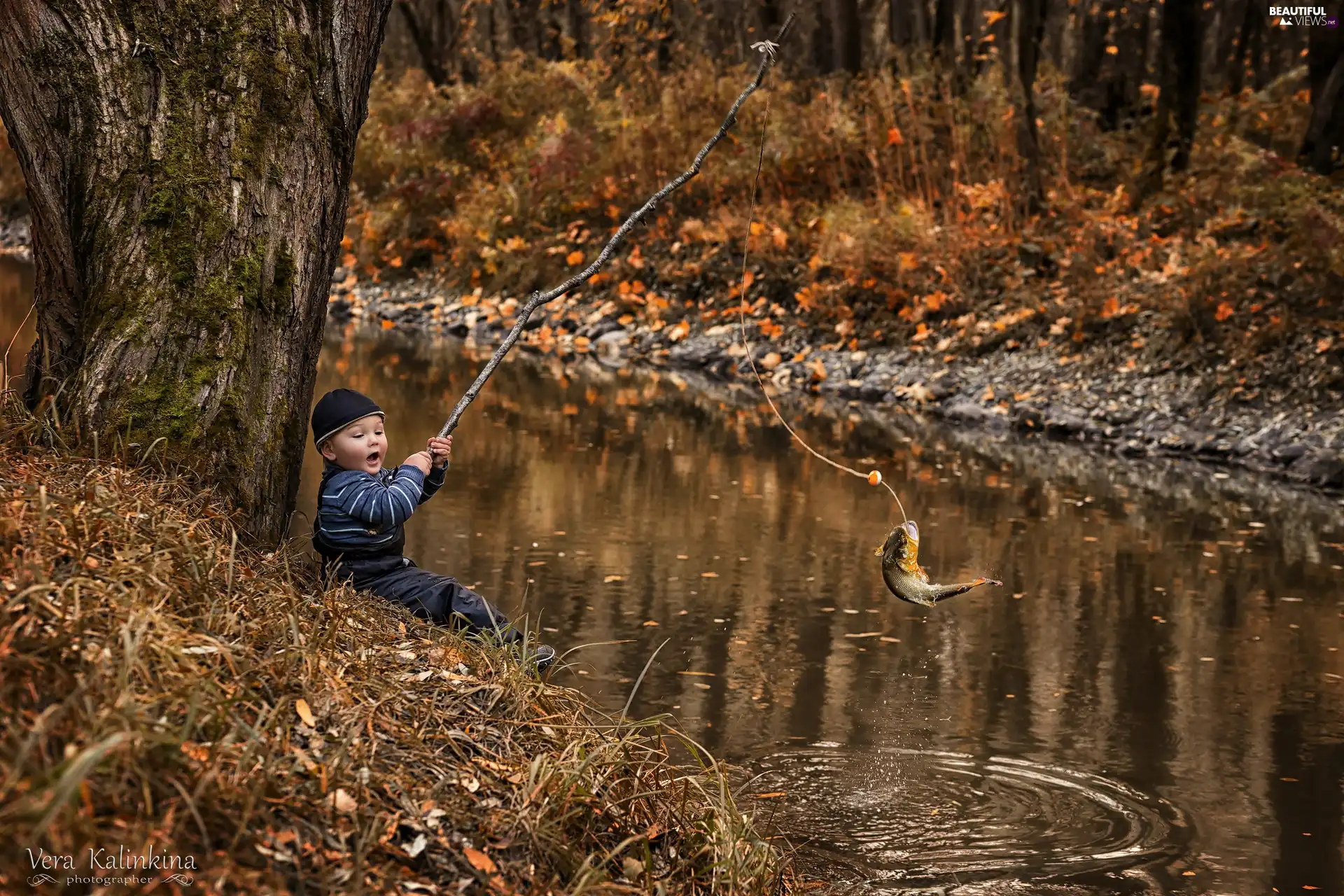 River, forest, fishing rod, fish, Kid
