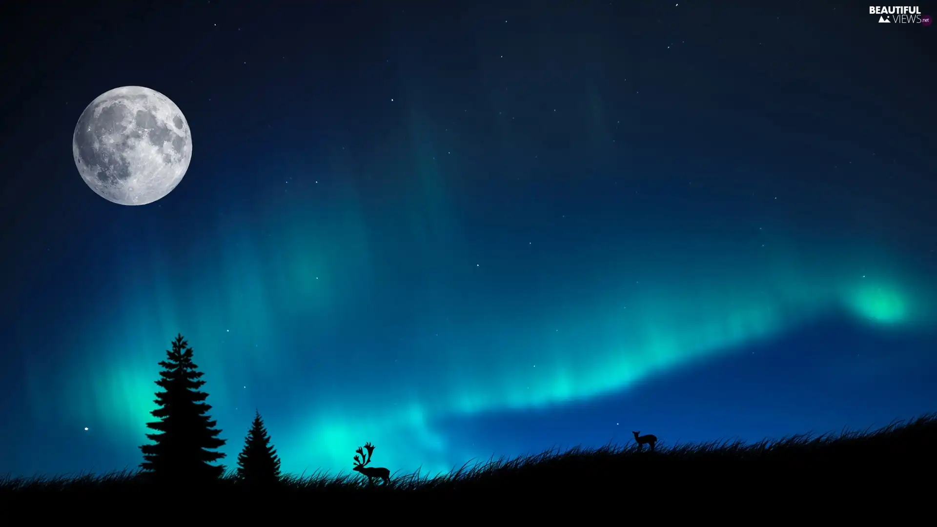 deer, doe, Polaris, moon, dawn