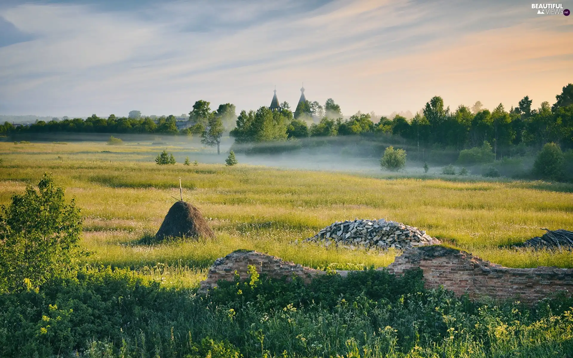 trees, viewes, morning, Fog, Churches, grass, Meadow, roofs