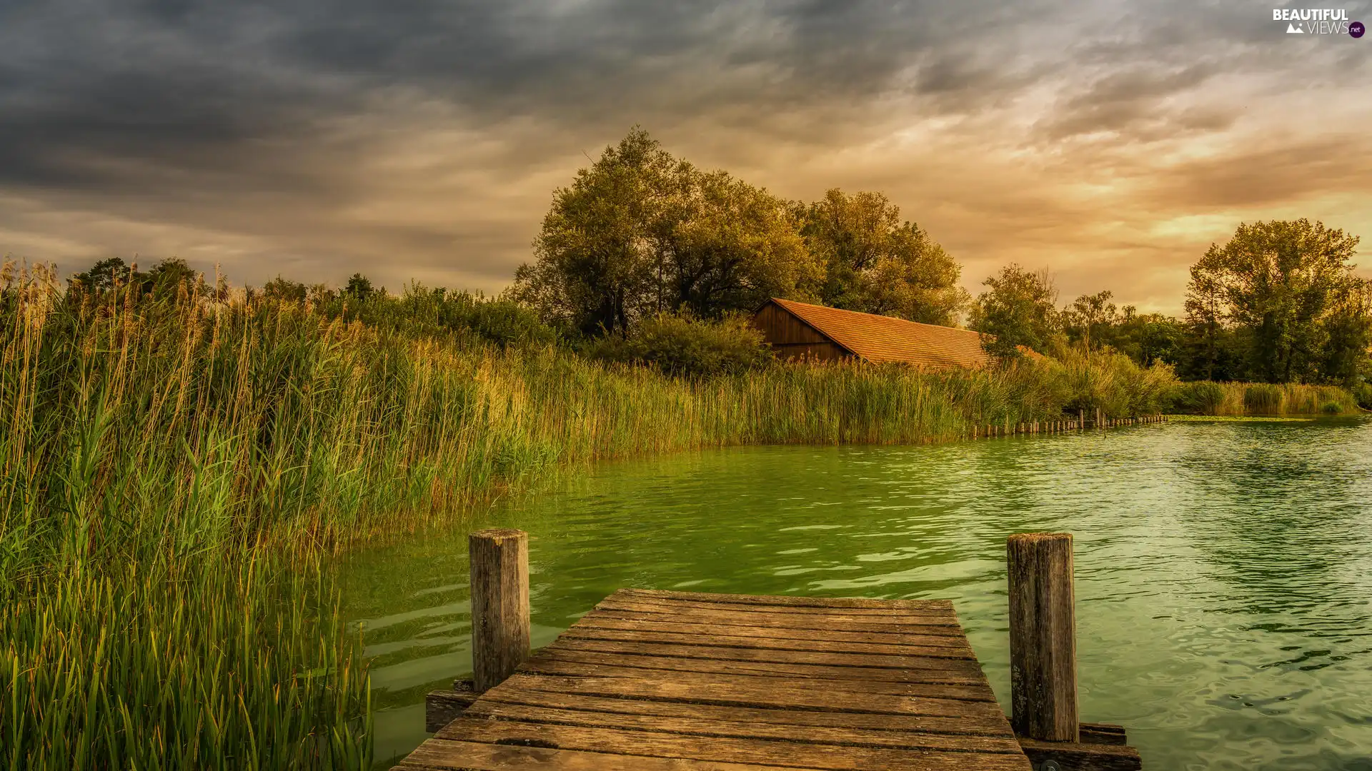 trees, Platform, house, rushes, lake, viewes, clouds