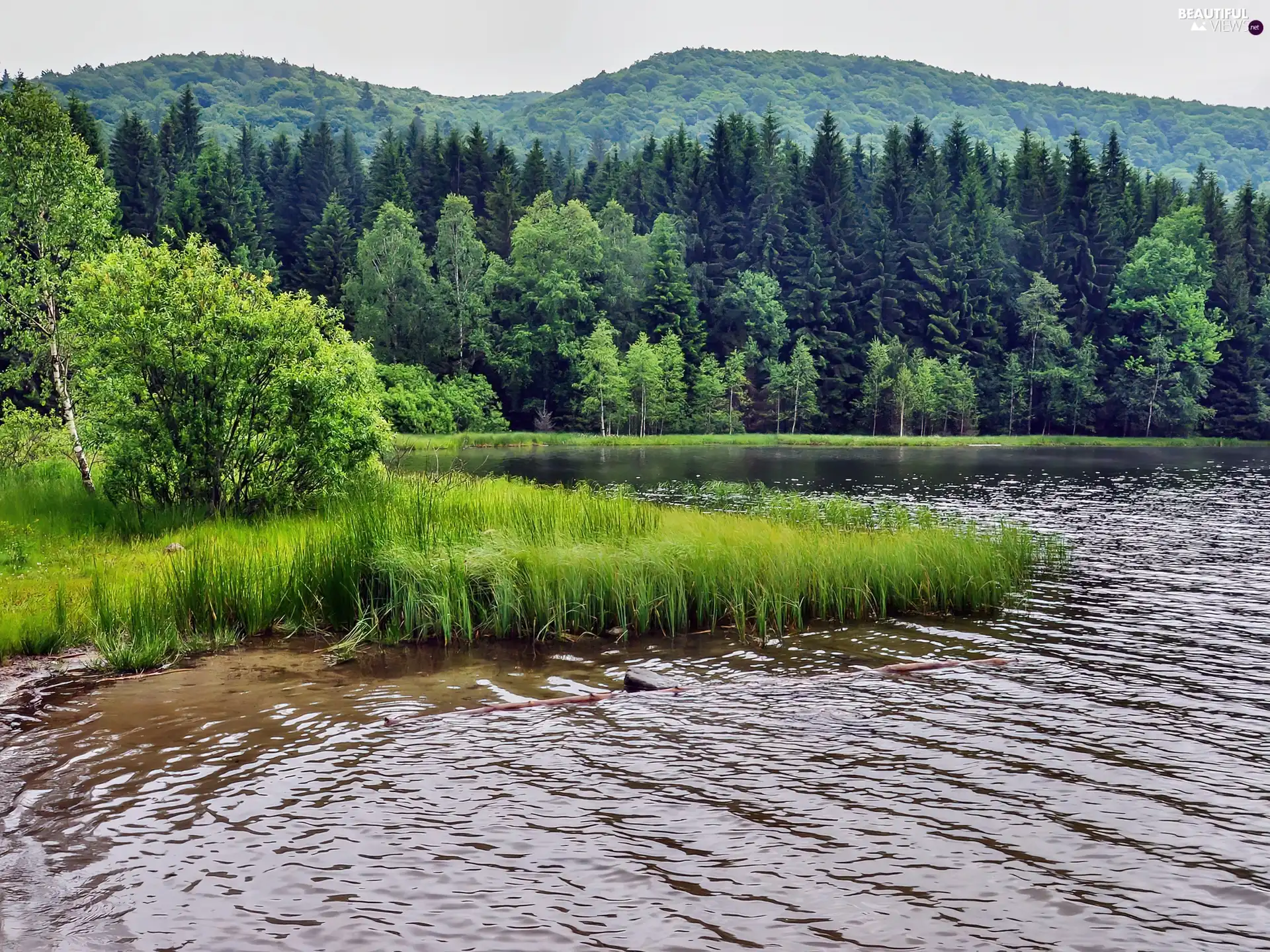 Mountains, lakes, rushes, forest