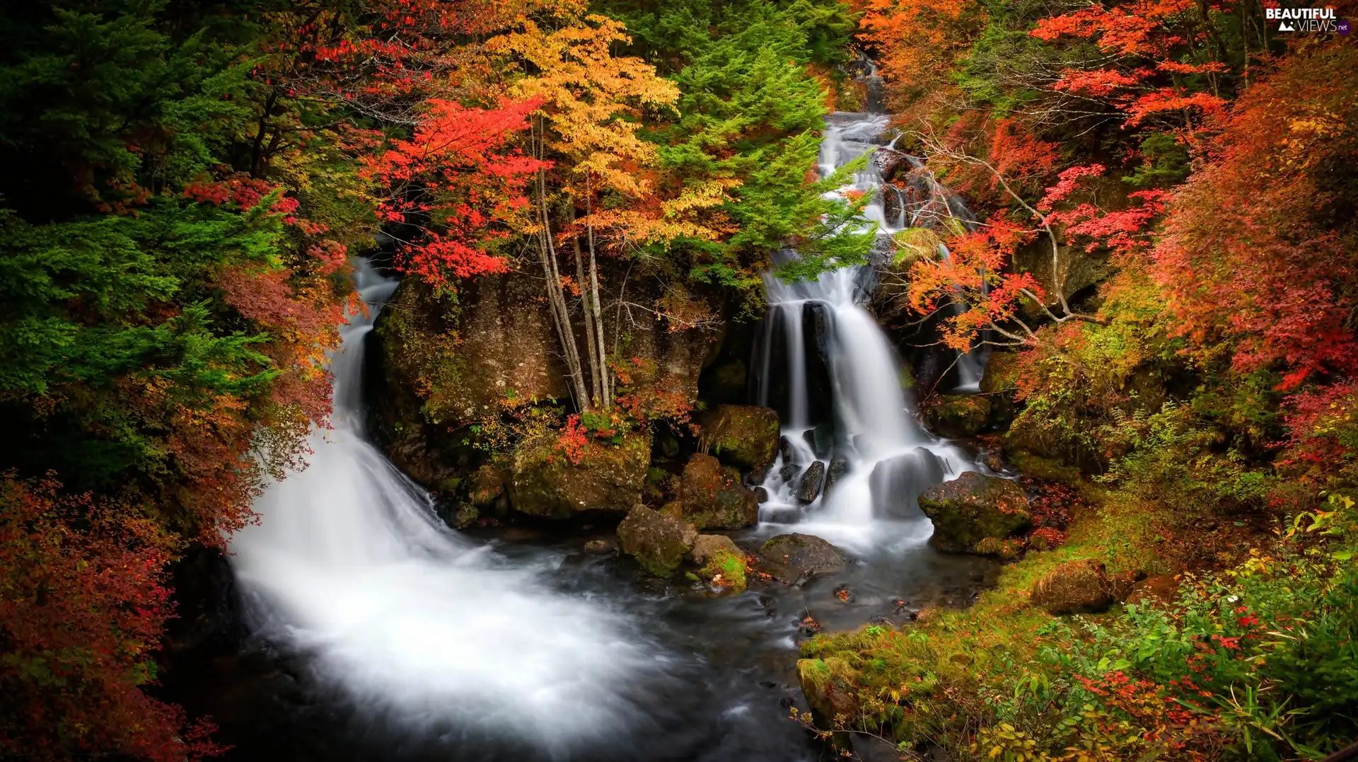 Ryuzu, Japan, forest, waterfall, autumn