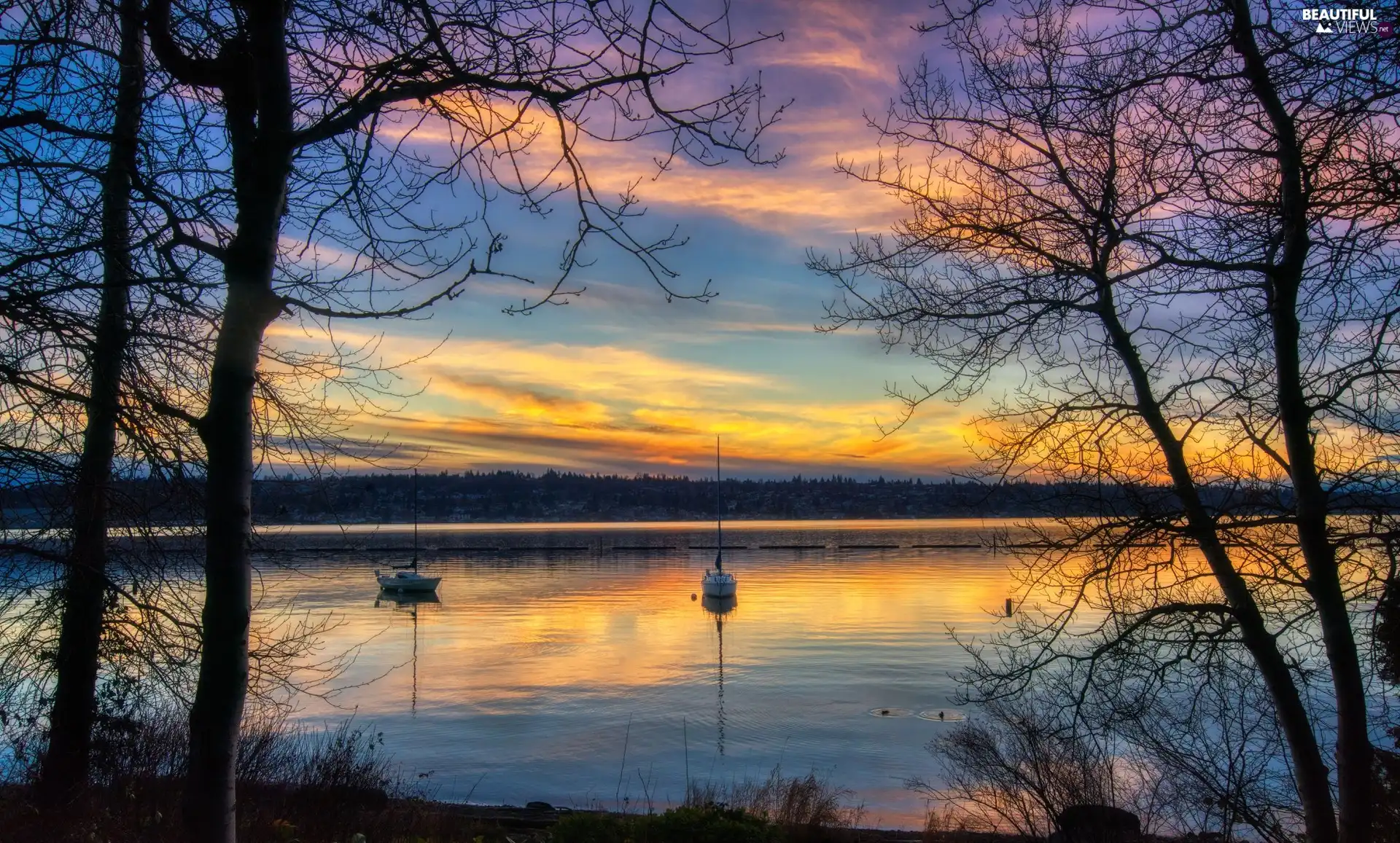 Sunrise, Sailboats, trees, viewes, lake
