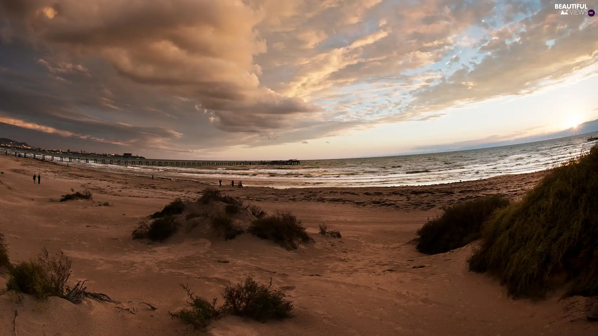 sea, Great Sunsets, Sand, Plants, clouds, Beaches