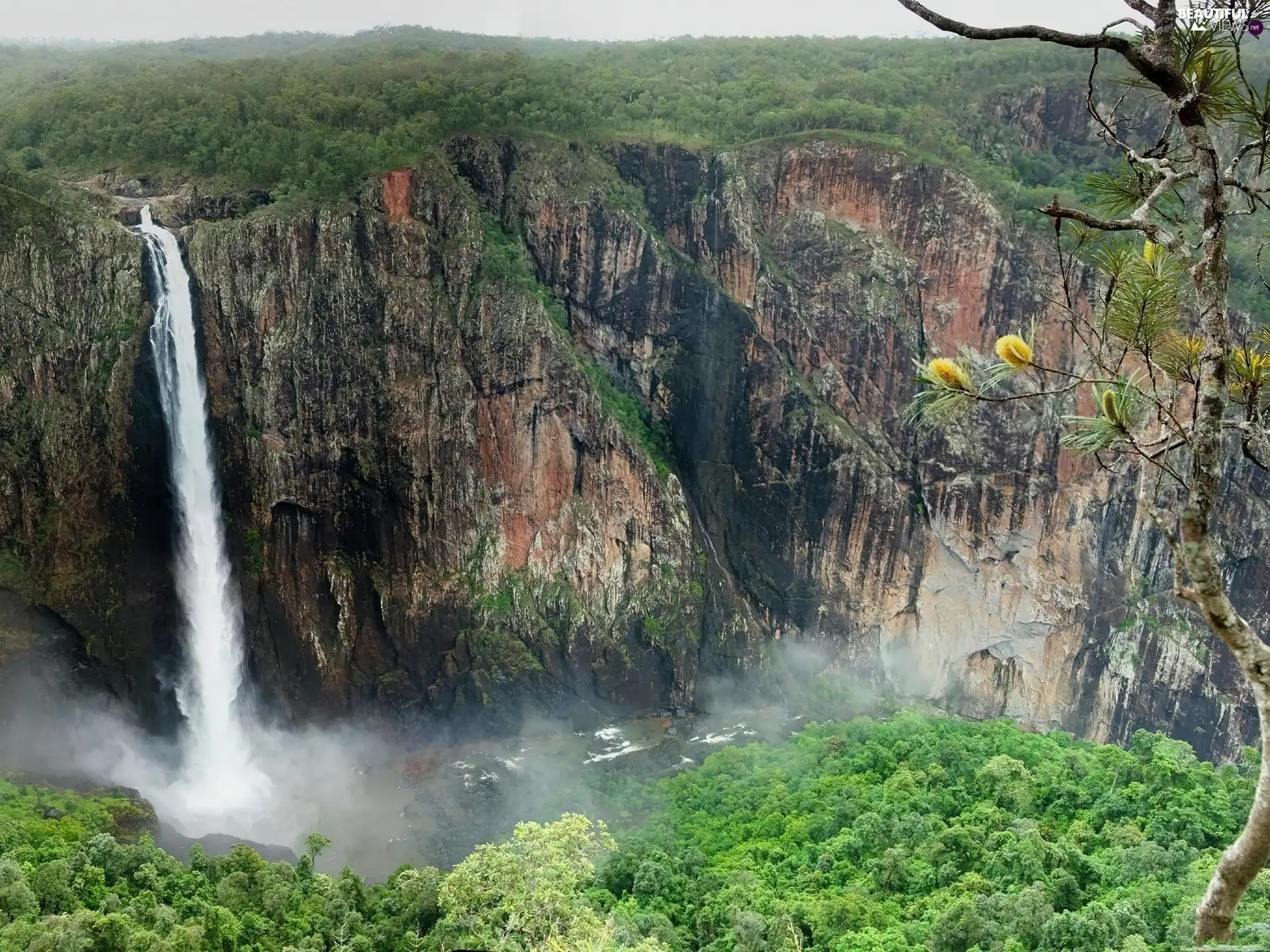 Mountains, lonely, sapling, waterfall