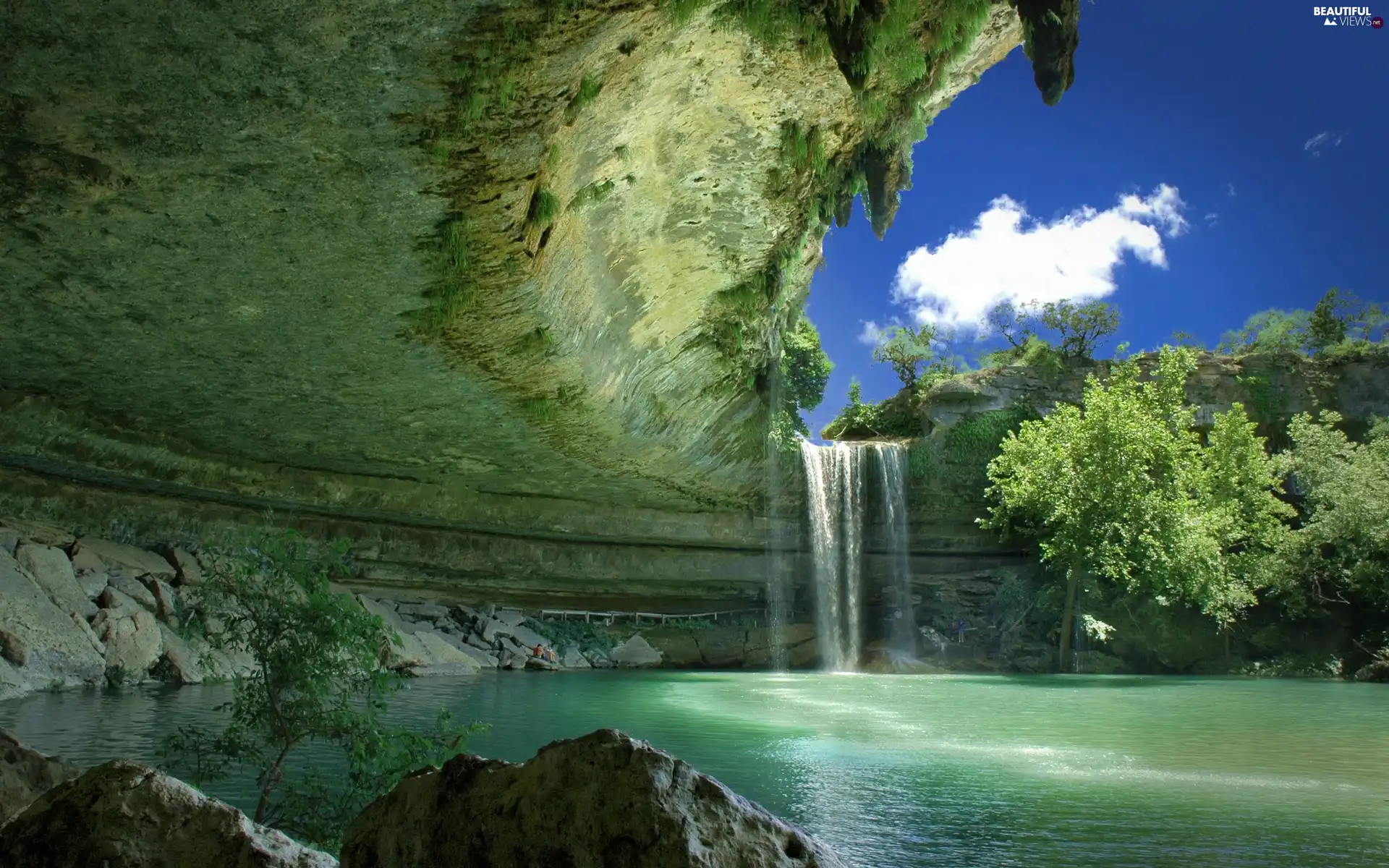 Sapling, waterfall, rocks