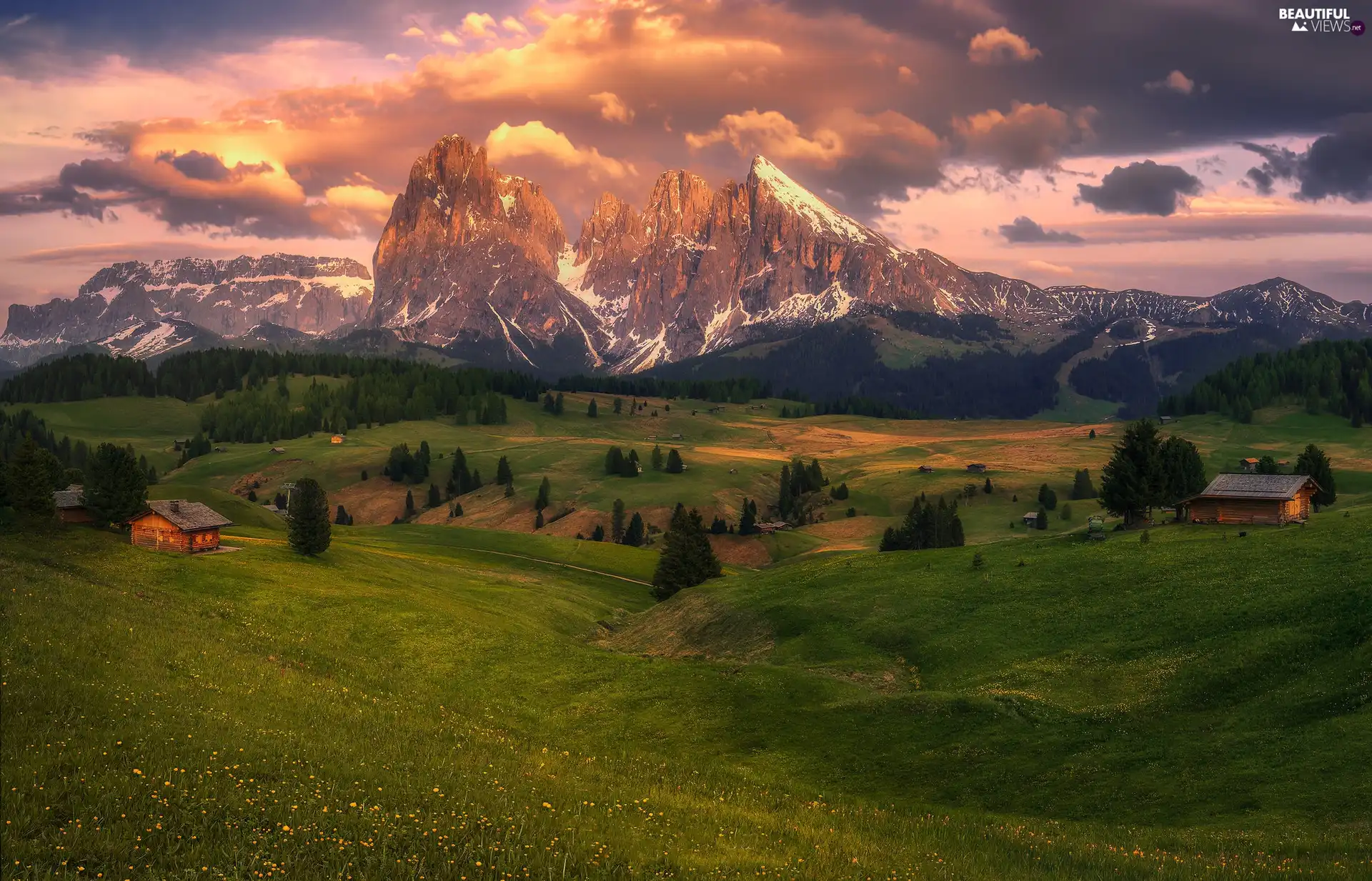 Seiser Alm Meadow, Dolomites, Houses, medows, trees, Sassolungo Mountains, wood, Italy, Val Gardena Valley, viewes