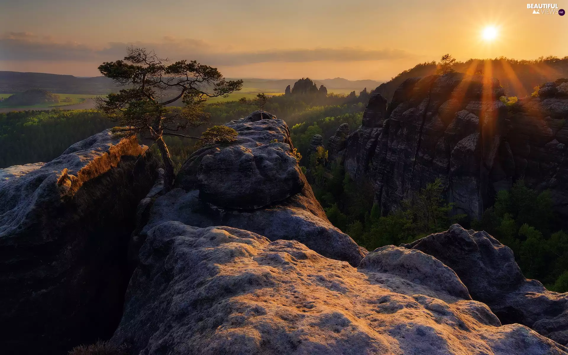 Děčínská vrchovina, rocks, Saxon Switzerland National Park, Germany, rays of the Sun, pine