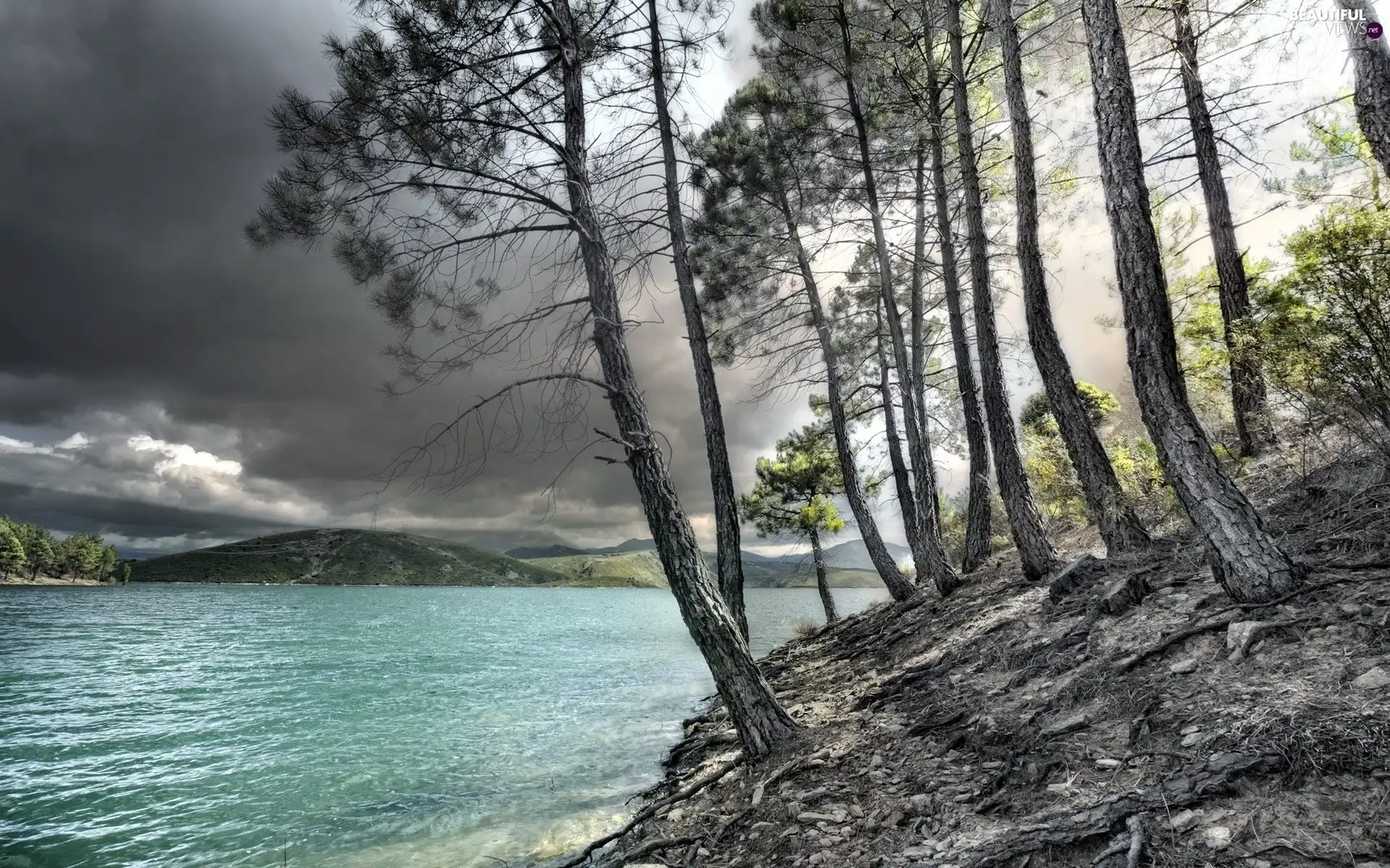 lake, pine, scarp, clouds