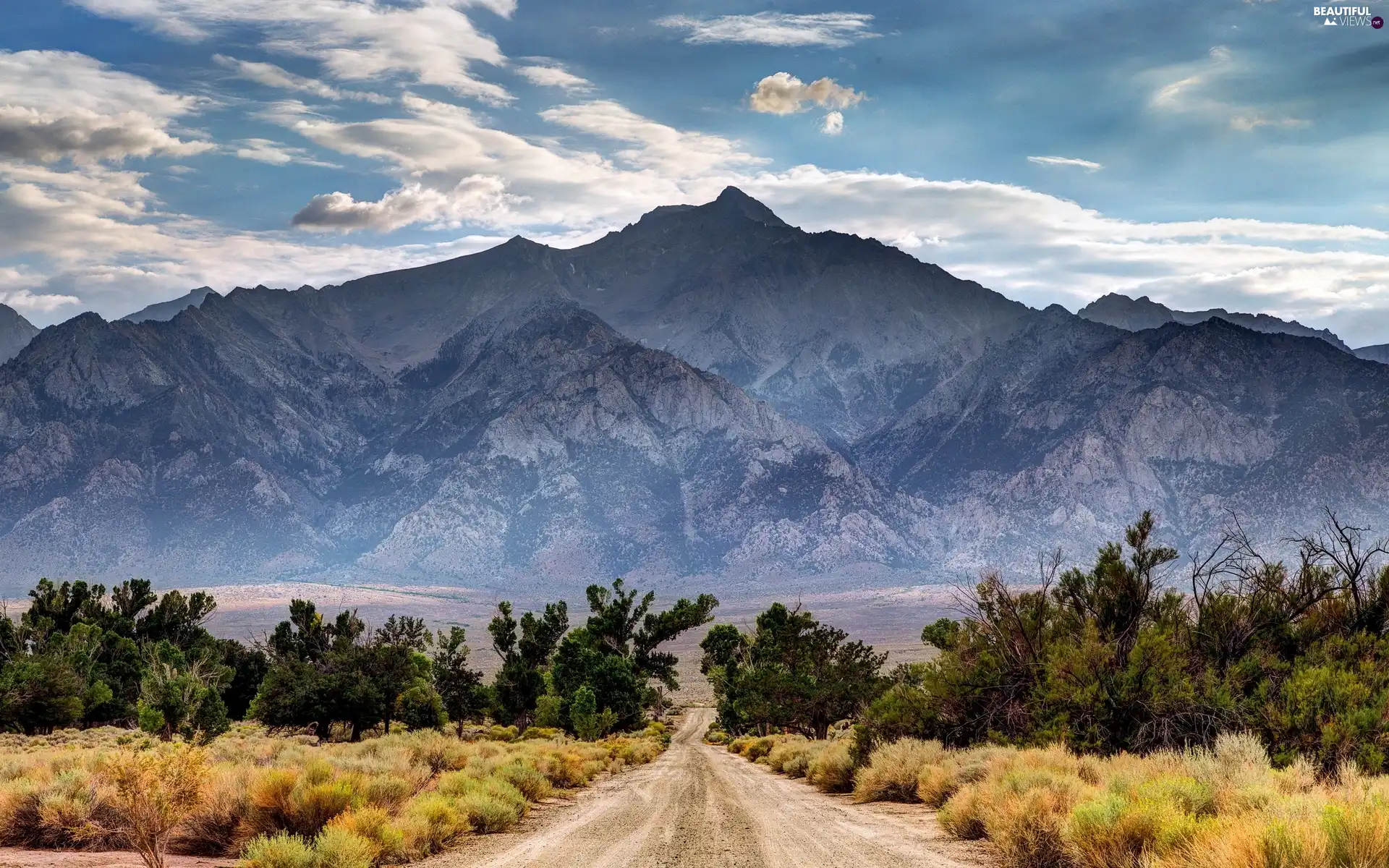 clouds, Way, scrub, Mountains