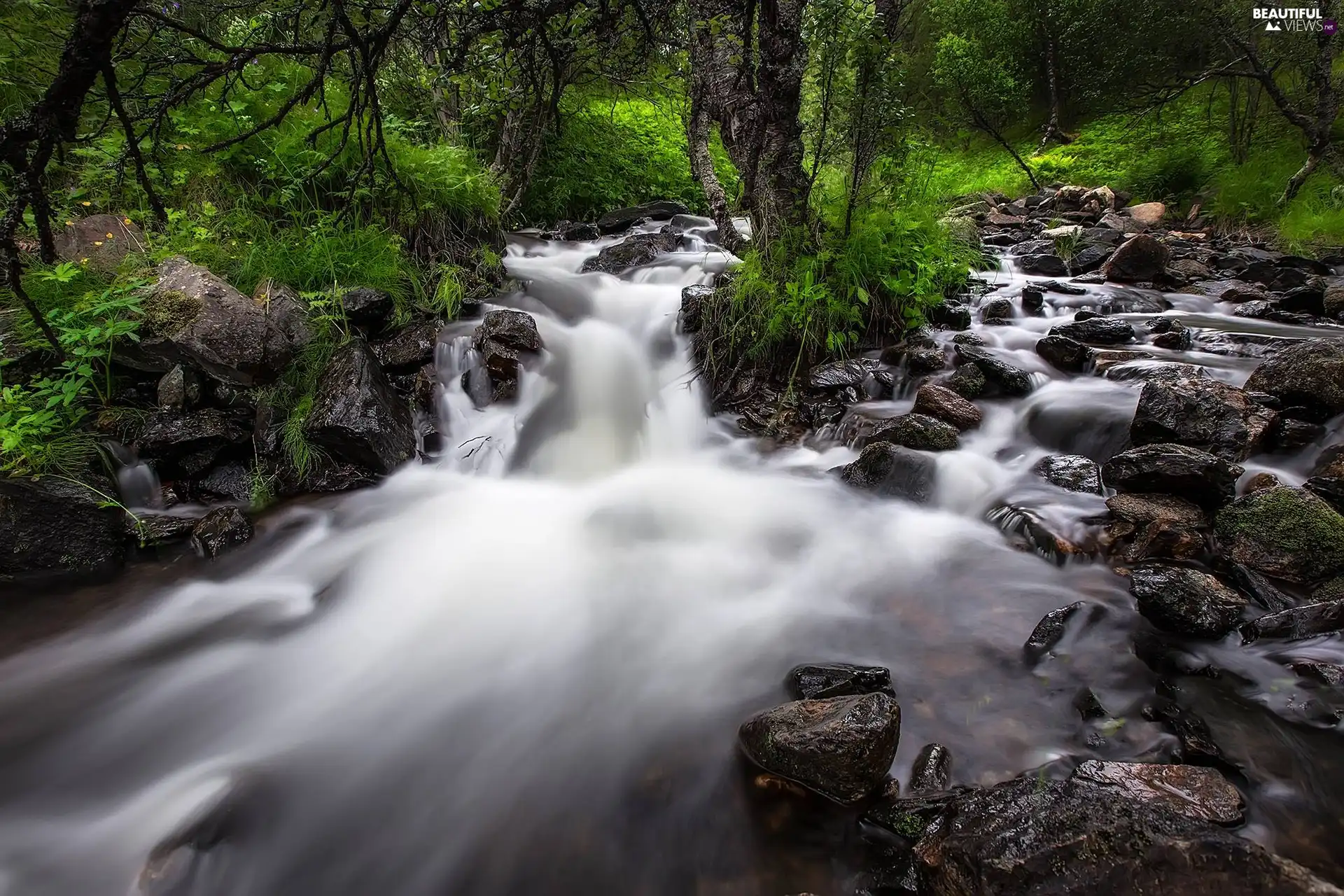 mountainous, Stones, scrub, stream