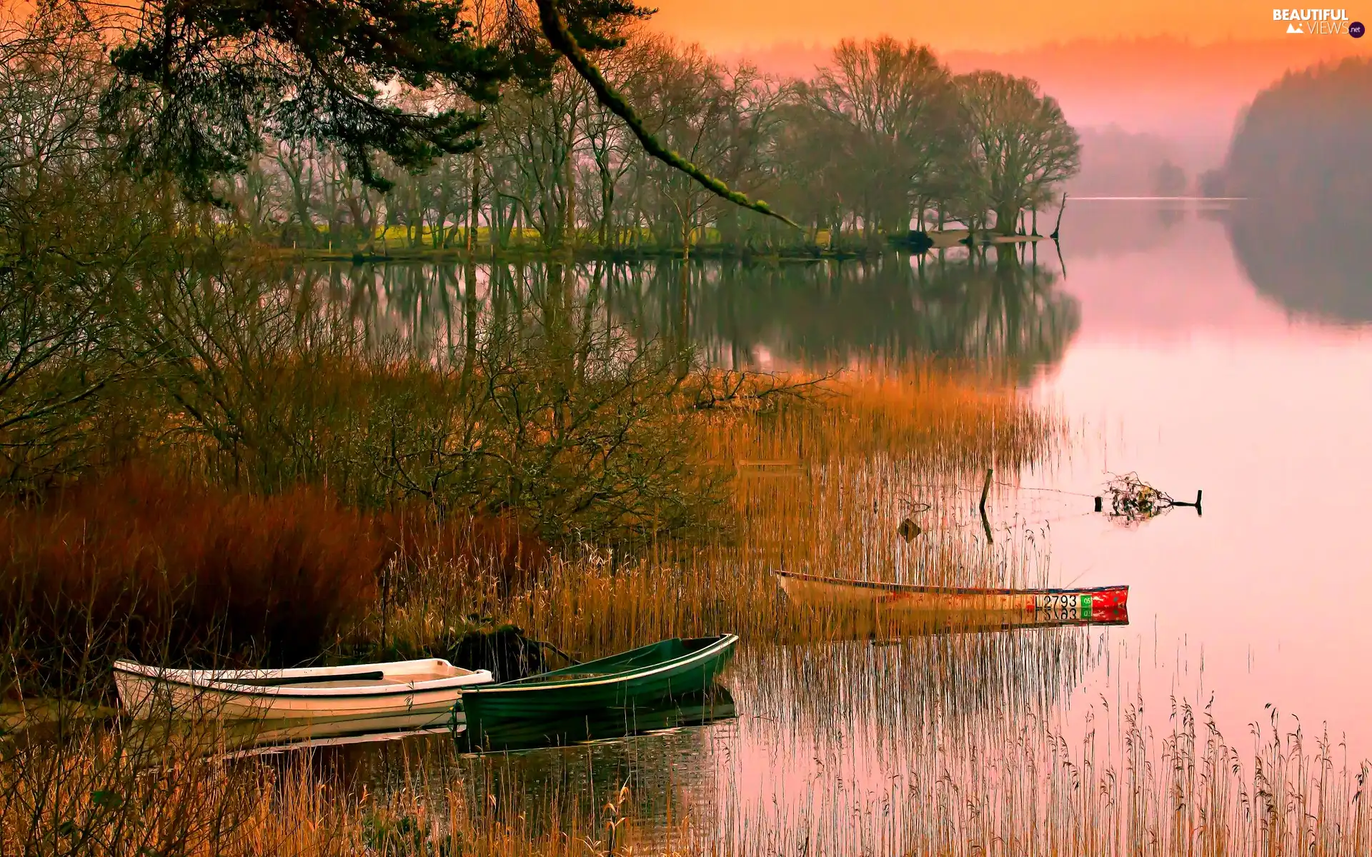 boats, forest, scrub, Pond - car