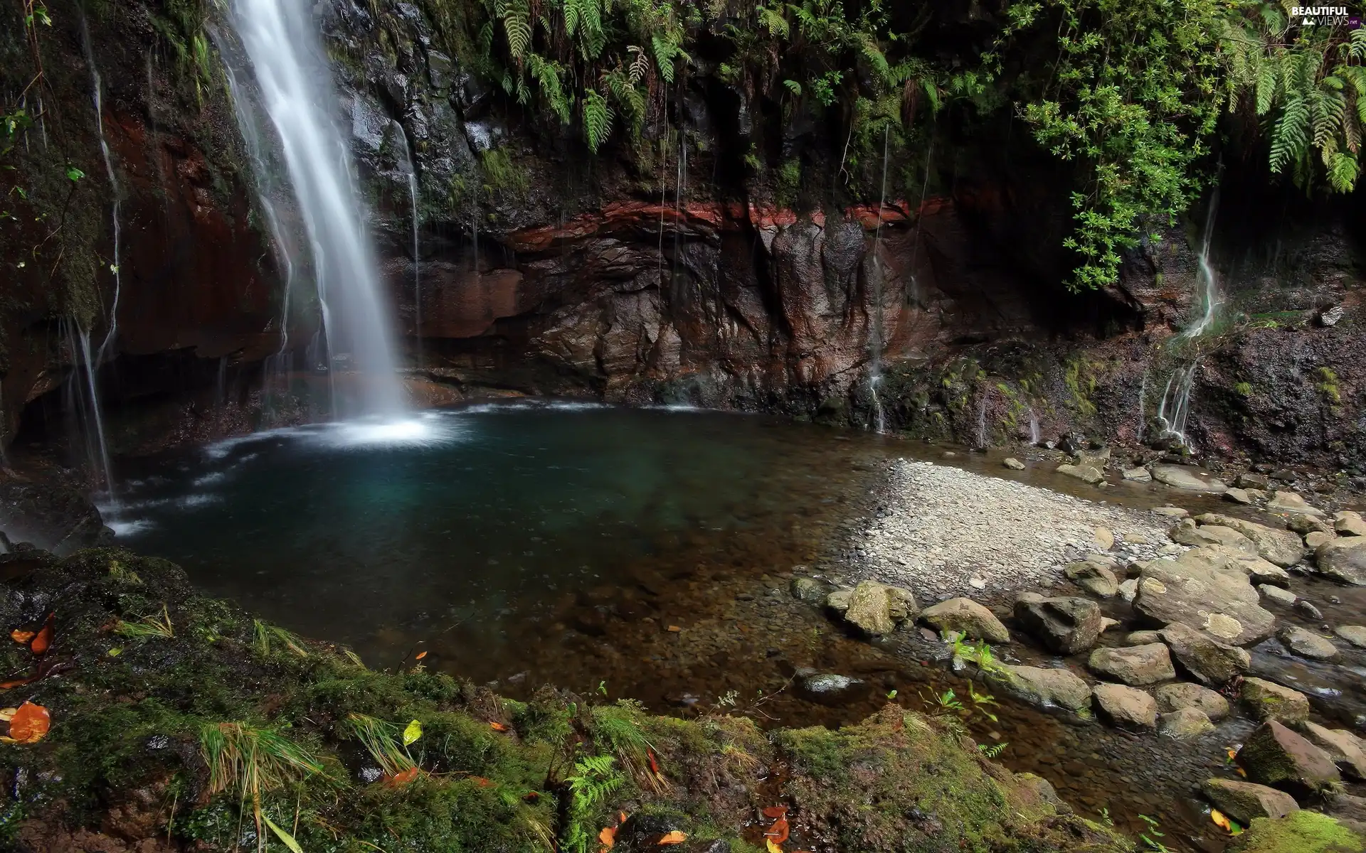 scrub, waterfall, Stones