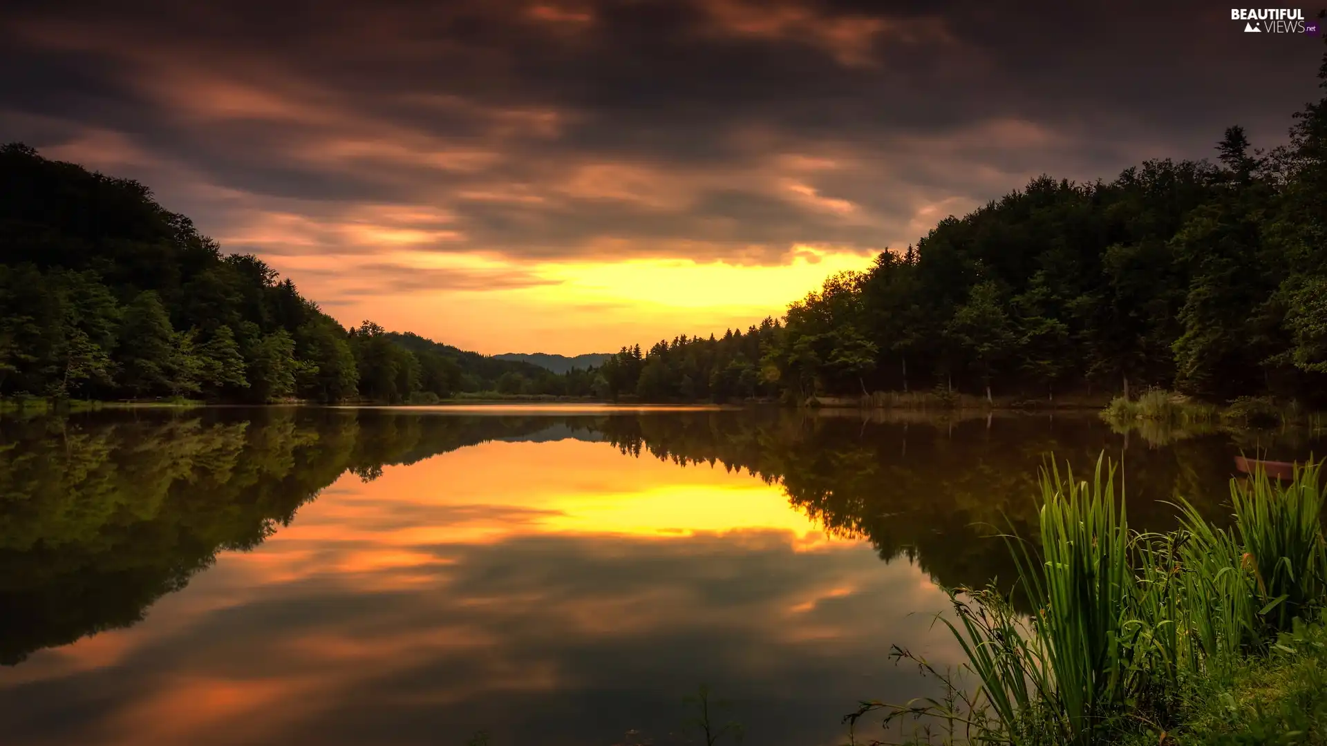 trees, Great Sunsets, scrub, reflection, viewes, lake