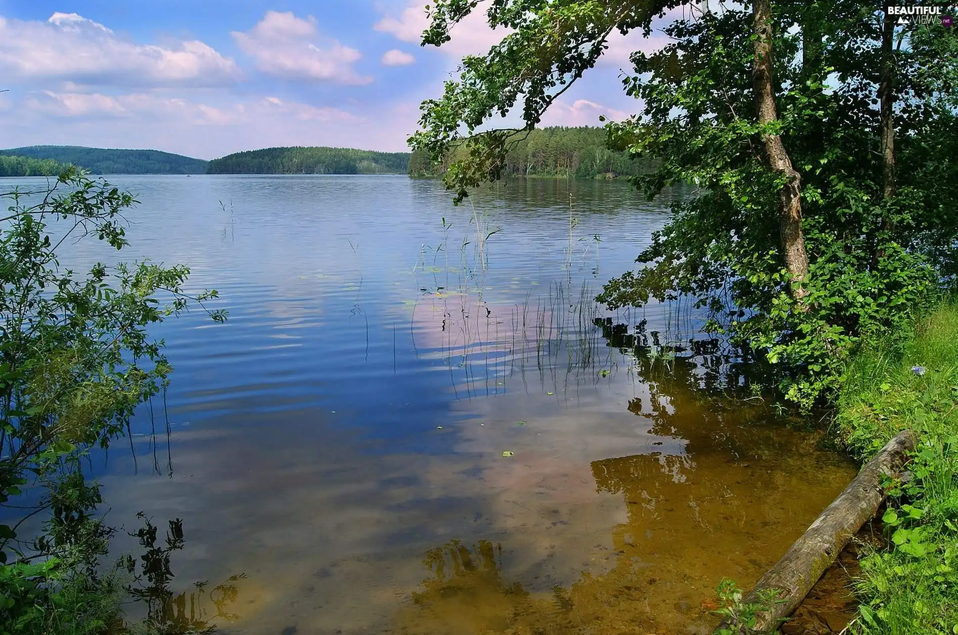 water, viewes, scrub, trees