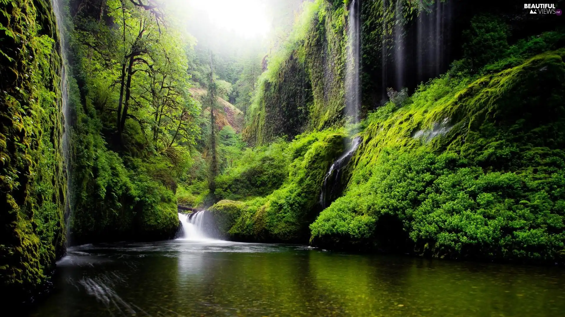 waterfall, viewes, scrub, trees