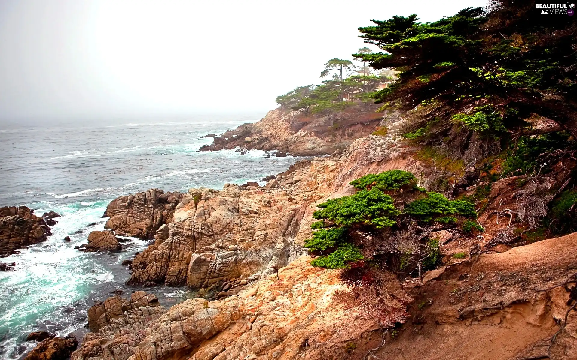 sea, Rocky, Coast