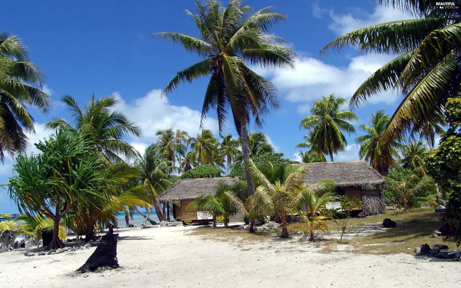 Houses, Beaches, sea, Palms